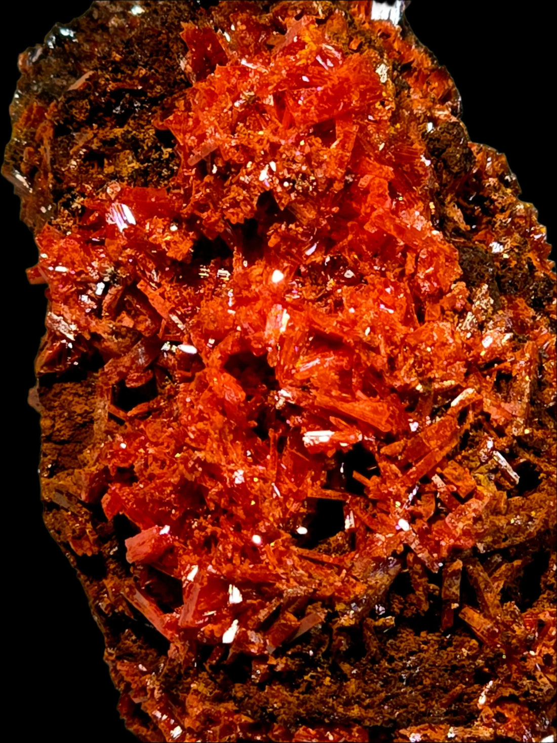 Vibrant red crystal specimen with intricate formations and glossy texture