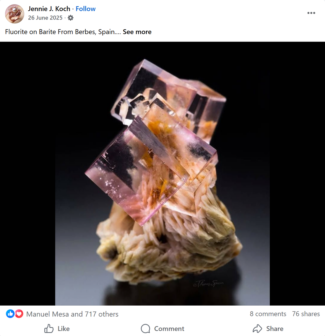 A sample of an AI produced or altered specimen of fluorite on baryte.Jennie J. Koch is a notorious publisher of these kind of pictures, mostly using pictures from authentic publications and claiming them as theirs.