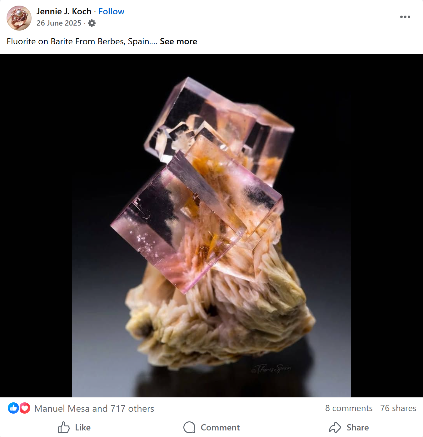 A sample of an AI produced or altered specimen of fluorite on baryte.Jennie J. Koch is a notorious publisher of these kind of pictures, mostly using pictures from authentic publications and claiming them as theirs.