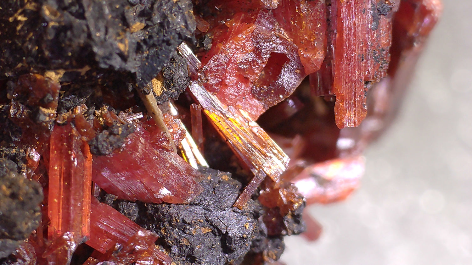 TASMANIAN MINERALS