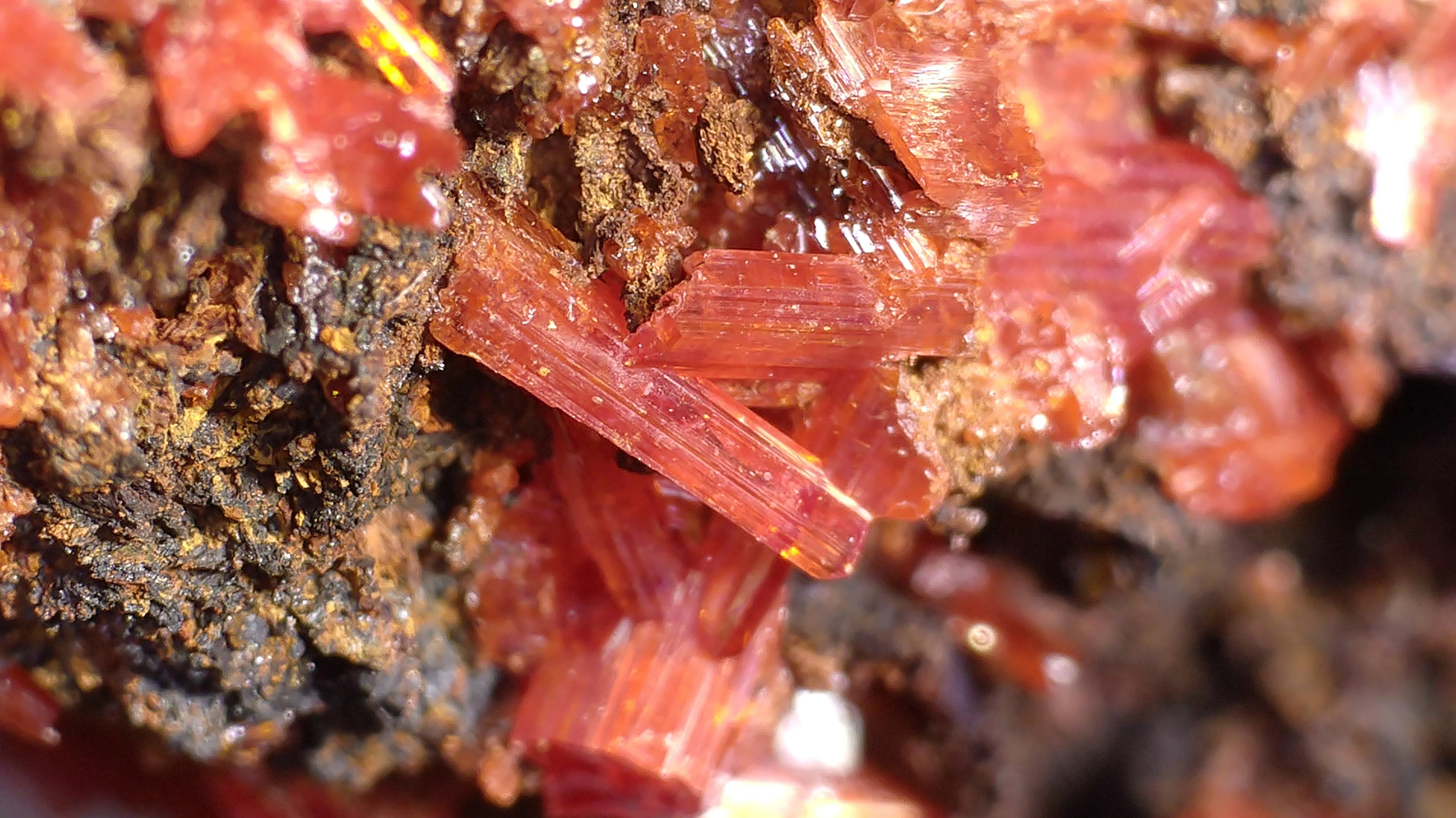 CROCOITE-TASMANIA