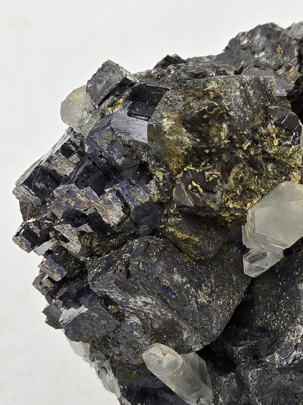 GALENA with QUARTZ (small cabinet)