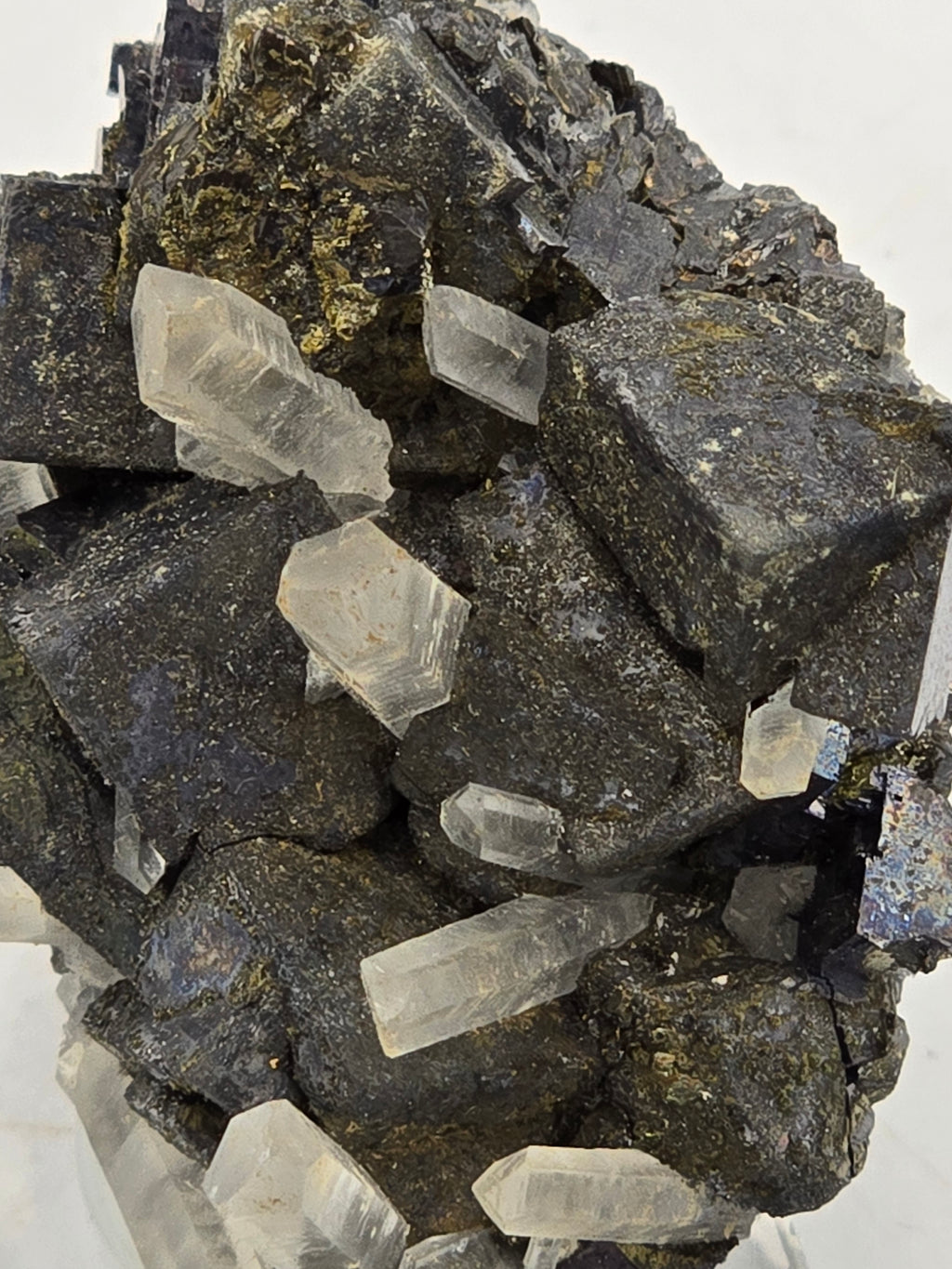 GALENA with QUARTZ (small cabinet)