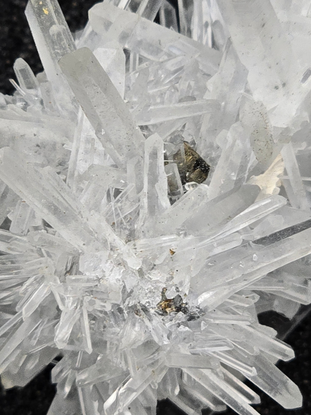 GALENA with QUARTZ (small cabinet)