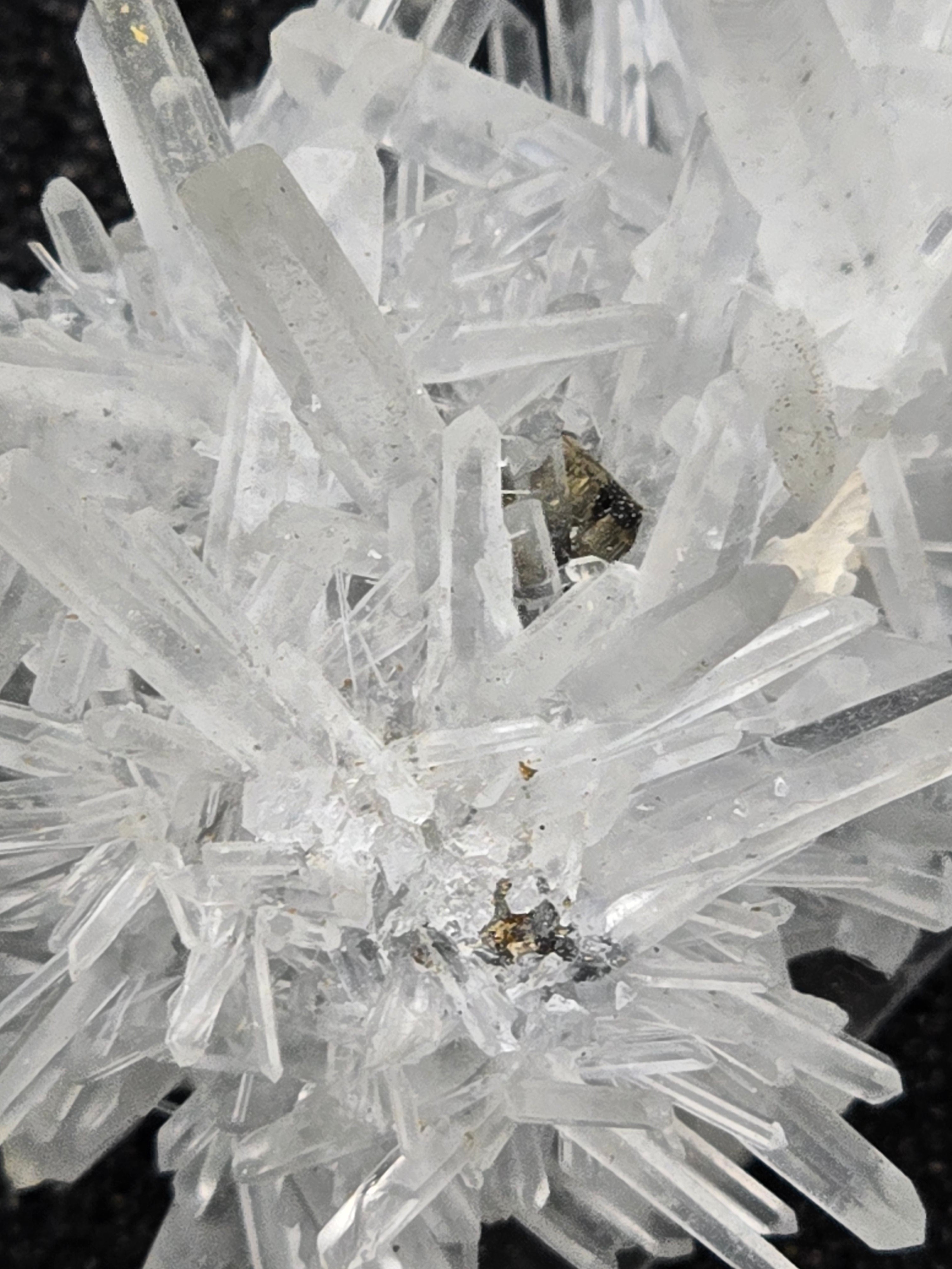 GALENA with QUARTZ (small cabinet)