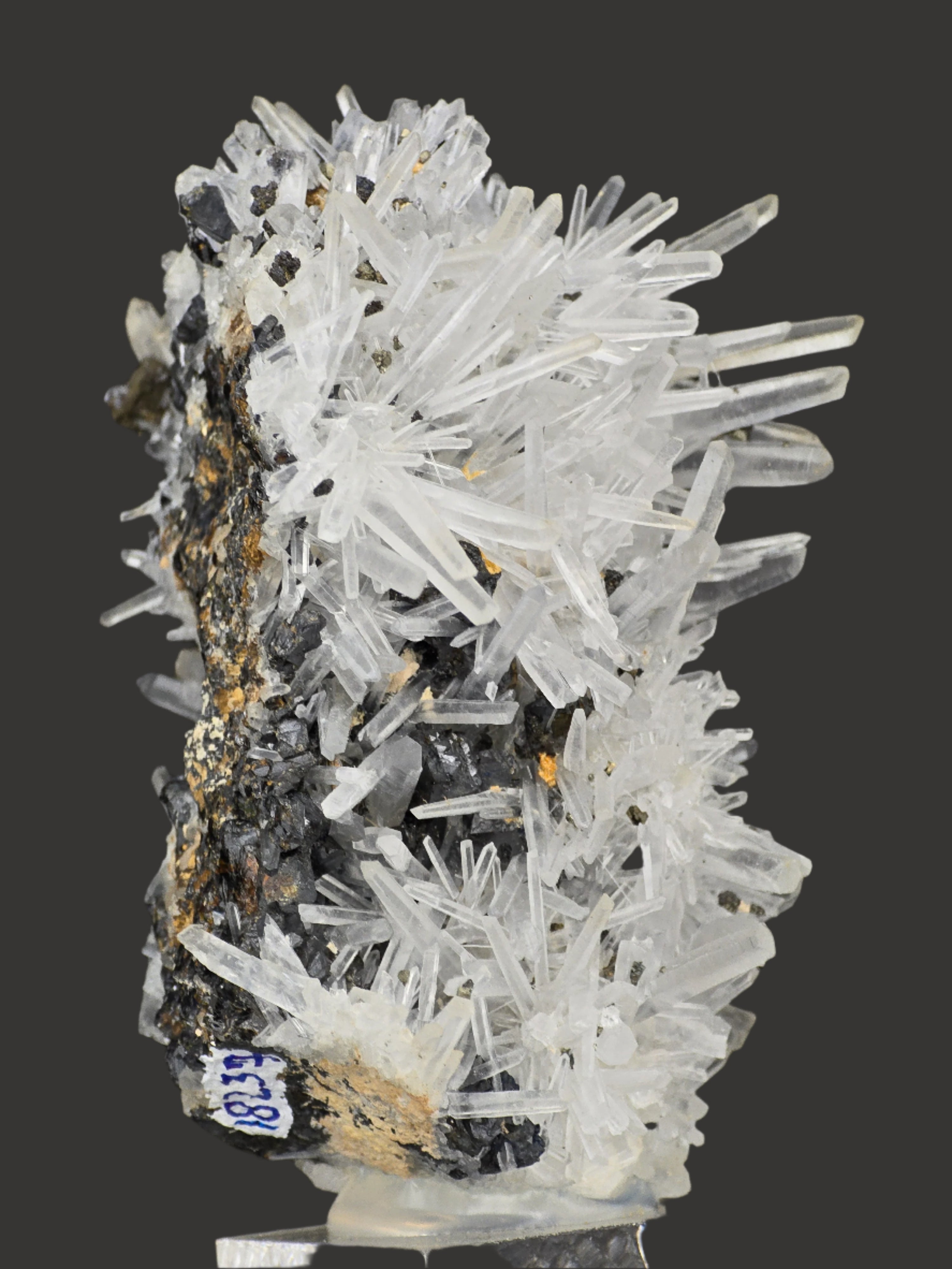 CHALCOPYRITE with QUARTZ  (cabinet)
