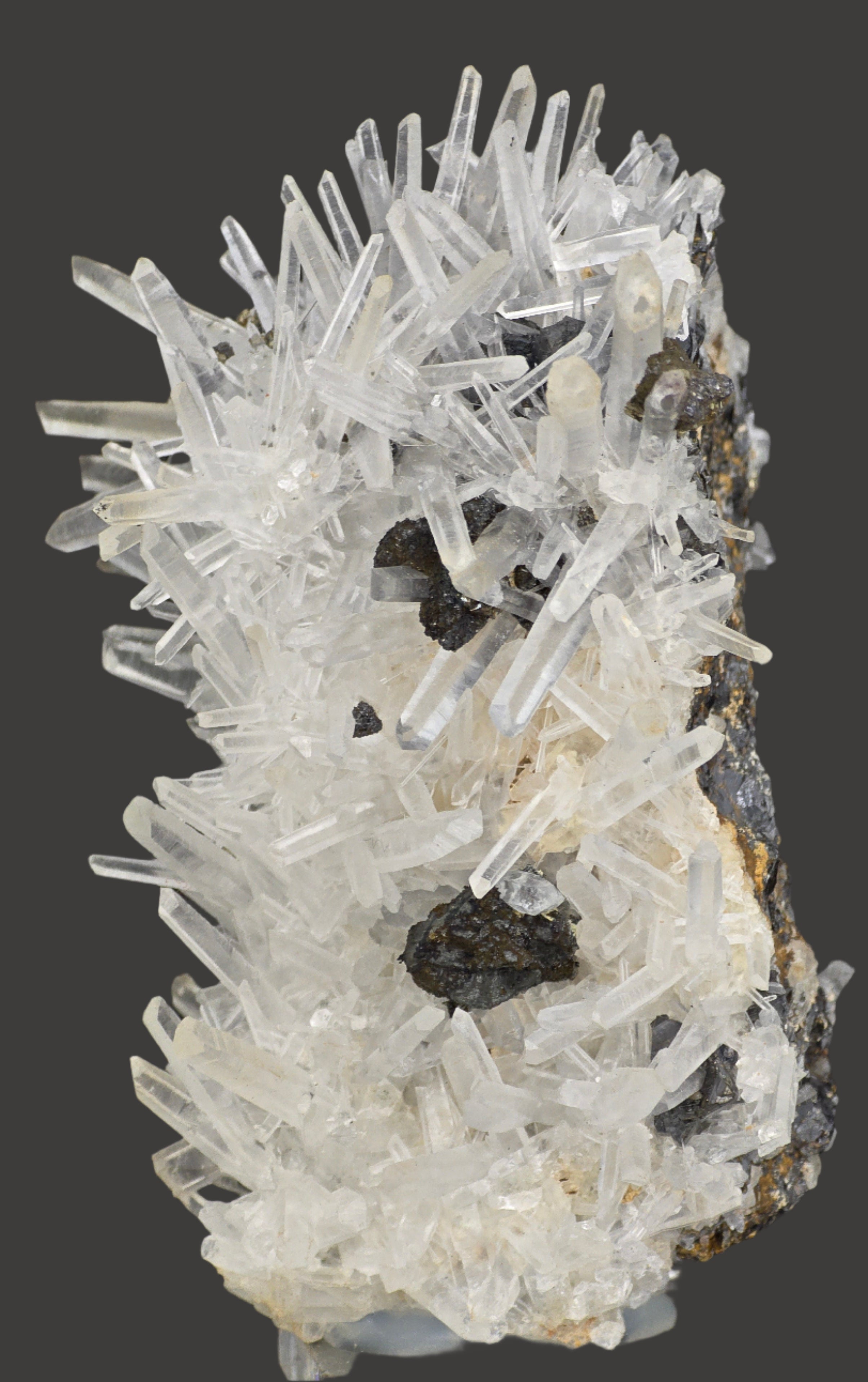 CHALCOPYRITE with QUARTZ  (cabinet)