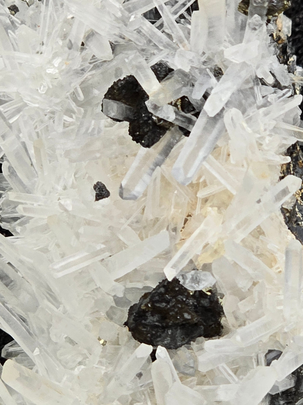 CHALCOPYRITE with QUARTZ  (cabinet)