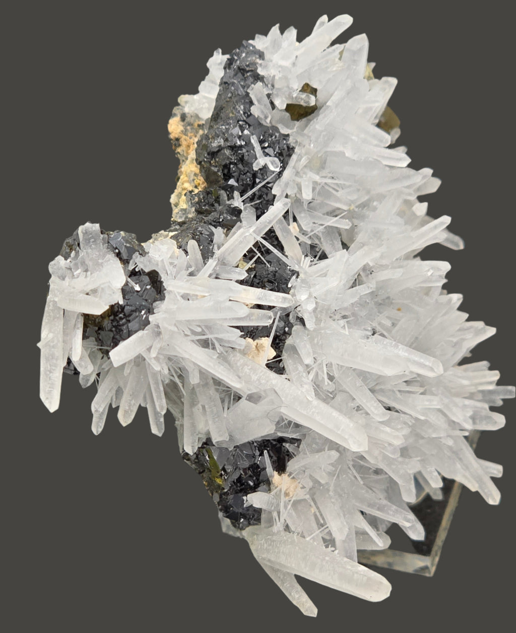 CHALCOPYRITE with QUARTZ and MANGANO CALCITE  (small cabinet)