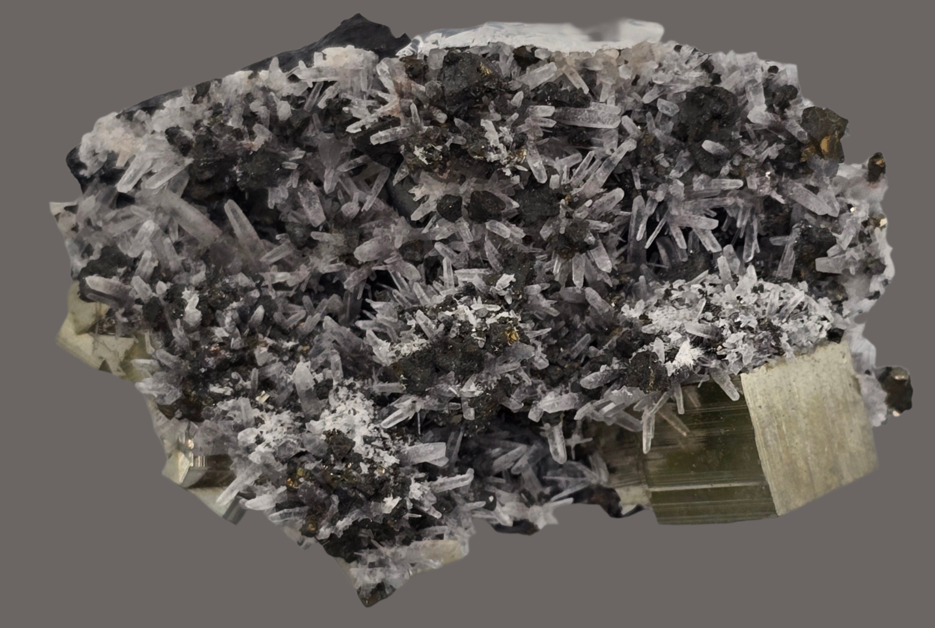 CHALCOPYRITE, PYRITE with QUARTZ