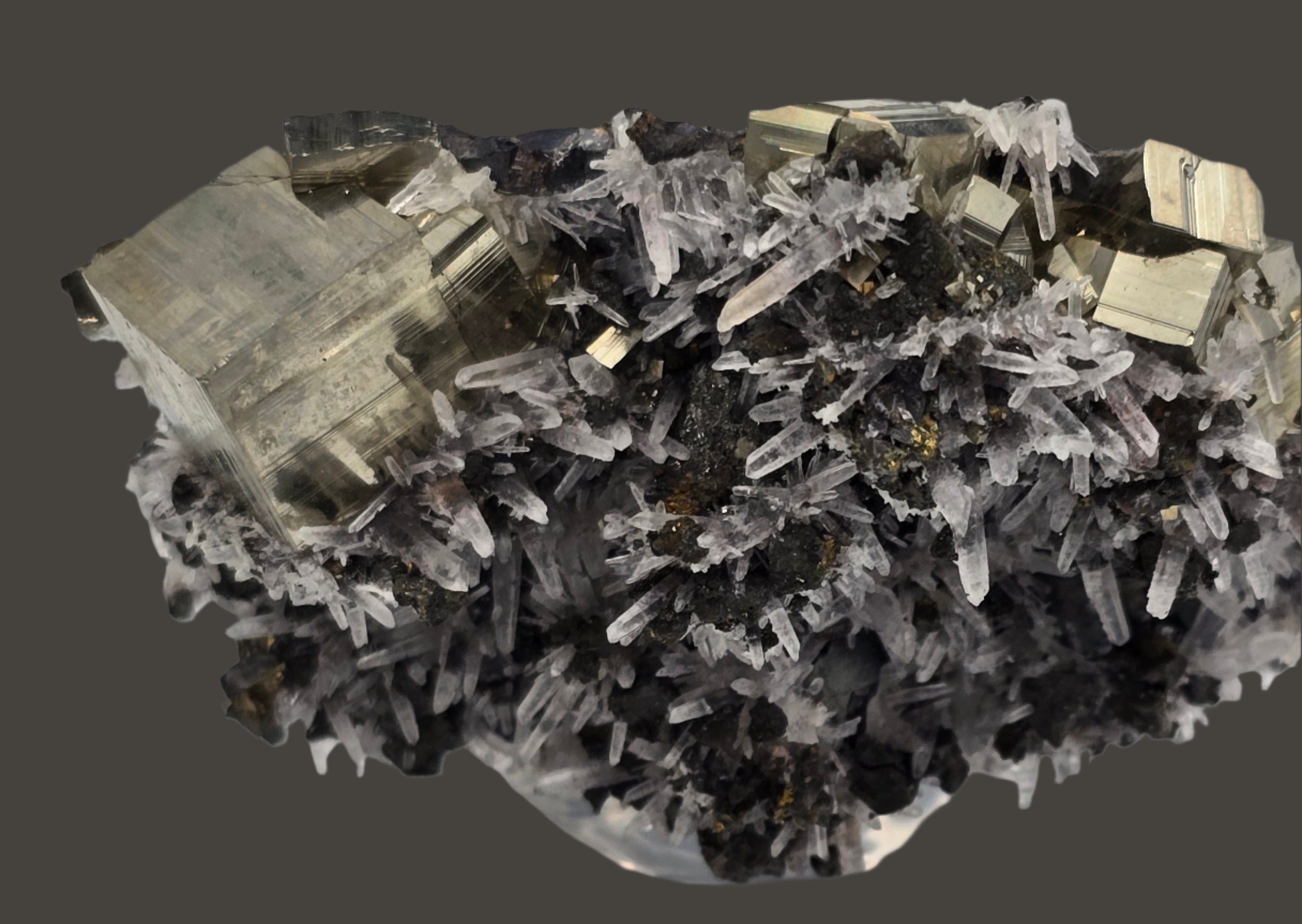 CHALCOPYRITE, PYRITE with QUARTZ