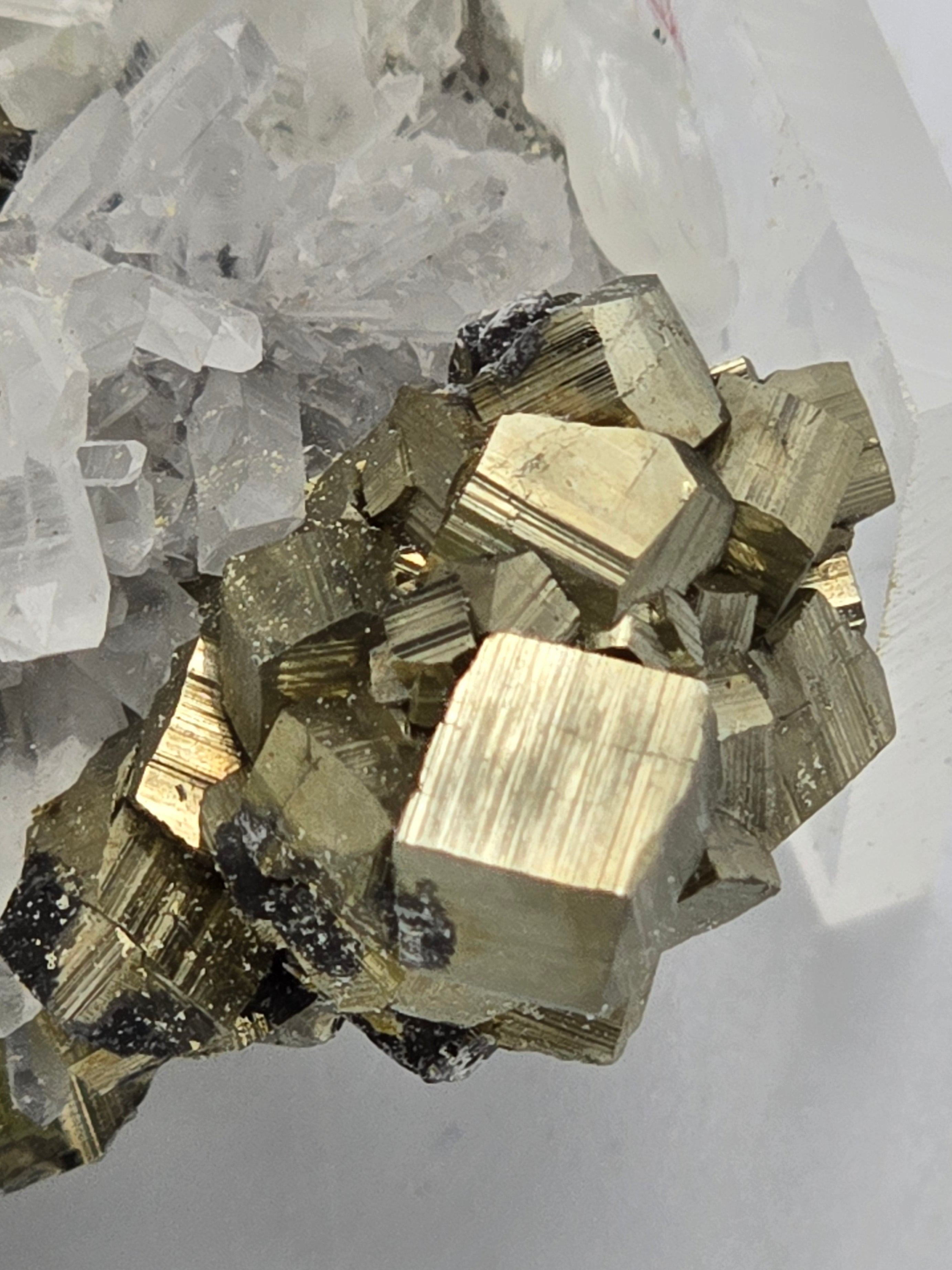 QUARTZ with PYRITE (small cabinet)