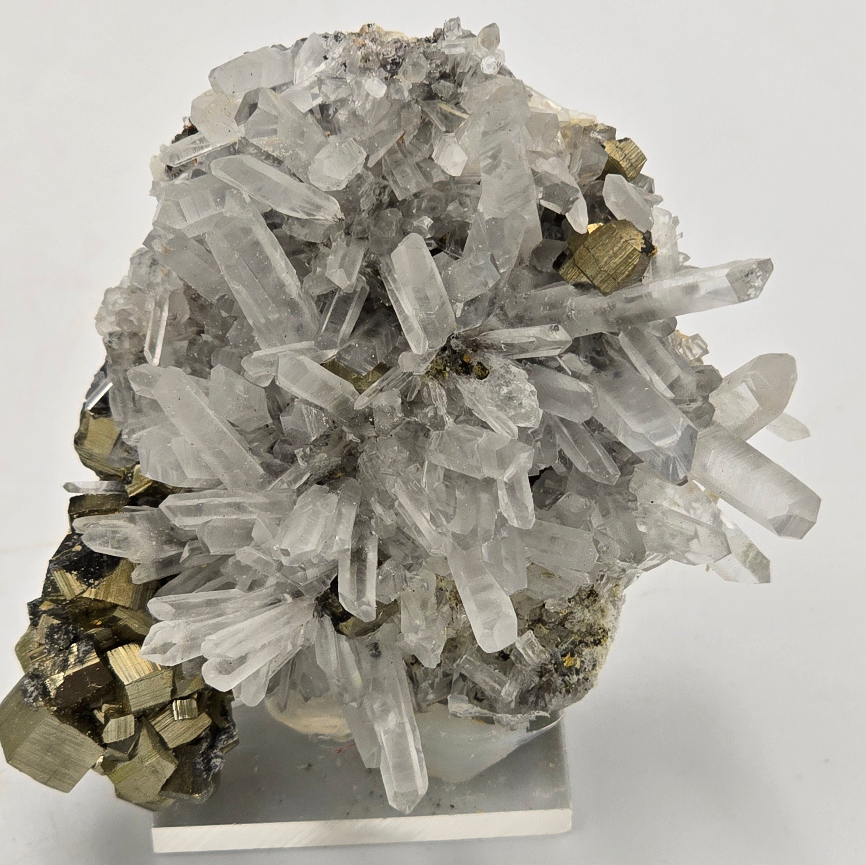 QUARTZ with PYRITE (small cabinet)