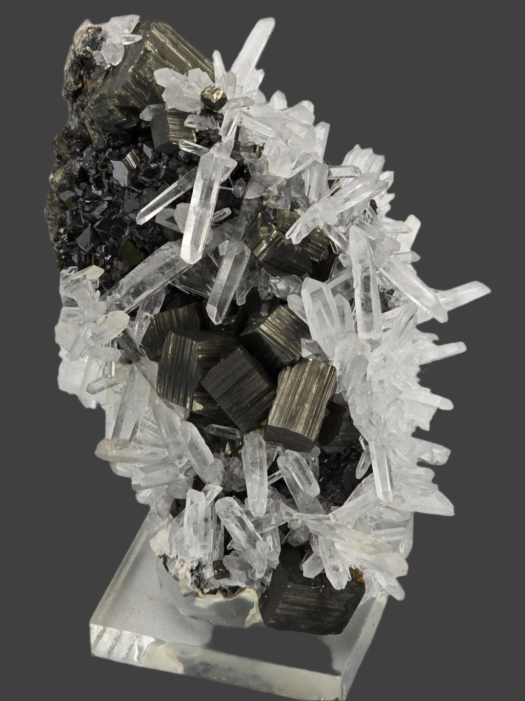 CHALCOPYRITE, PYRITE, SPHALERITE with QUARTZ  (miniature)