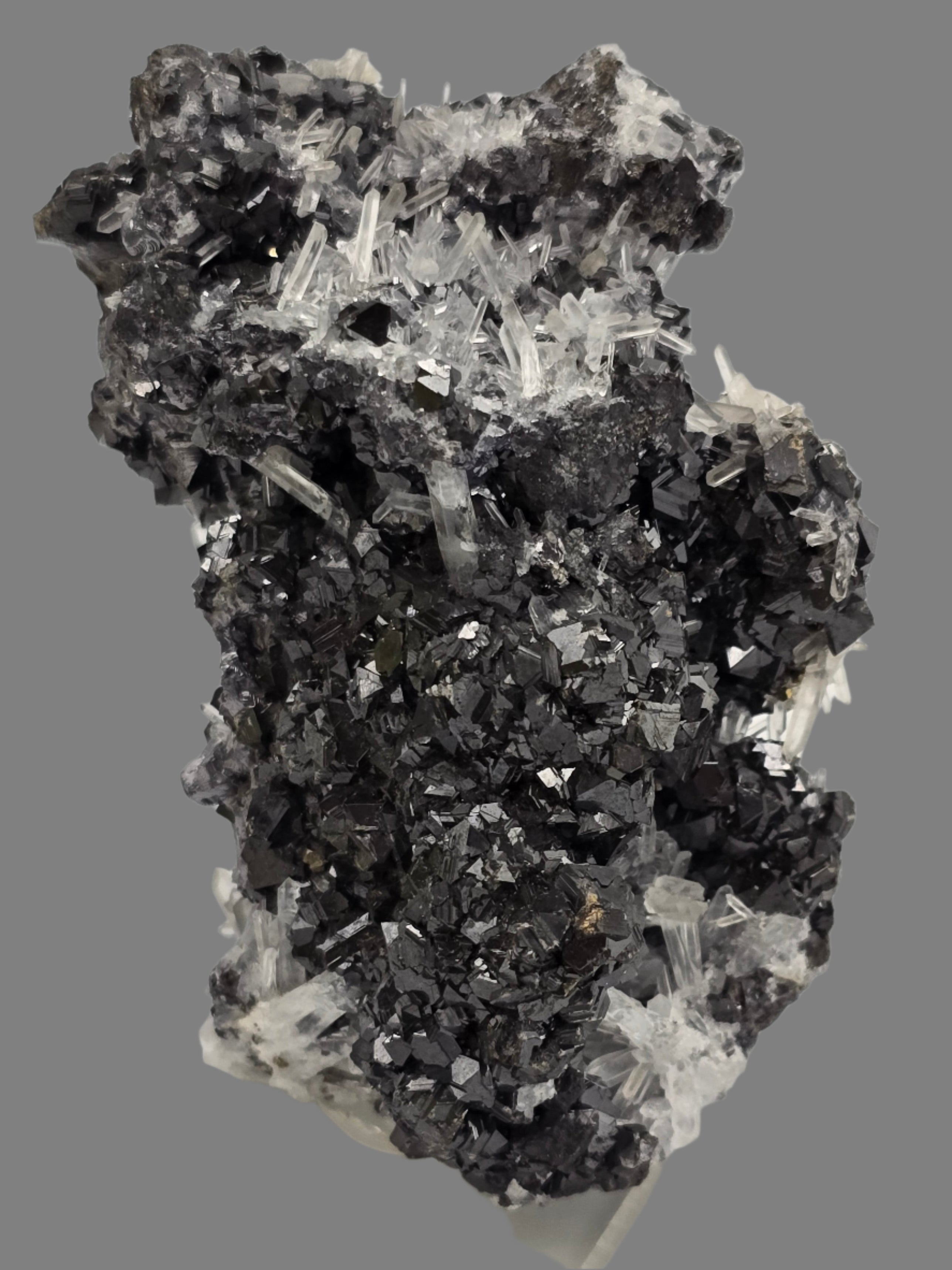 CHALCOPYRITE, SPHALERITE, QUARTZ  (small cabinet)