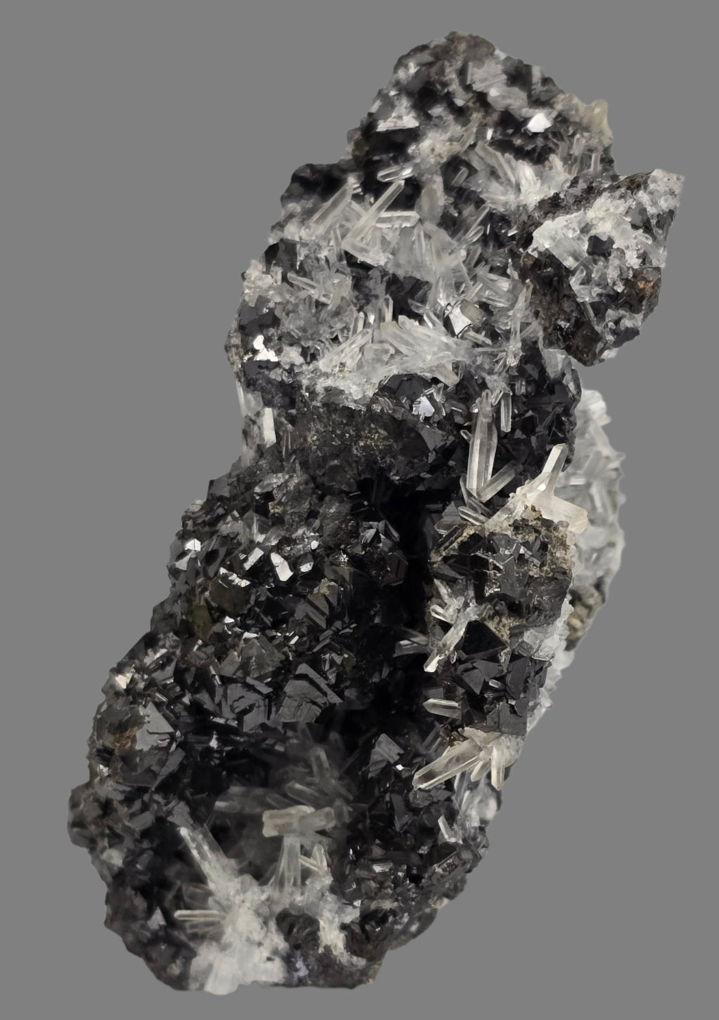 CHALCOPYRITE, SPHALERITE, QUARTZ  (small cabinet)