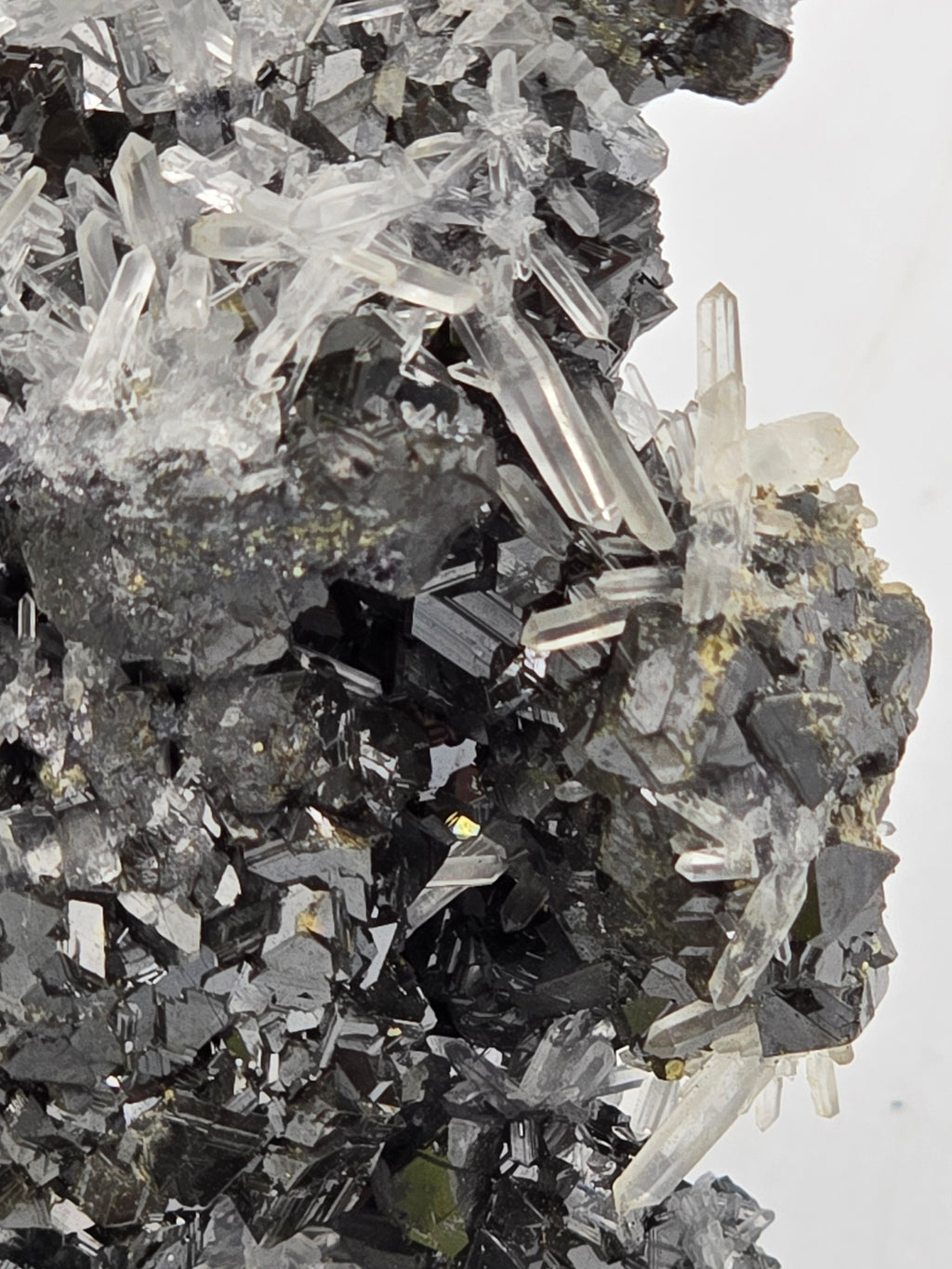 CHALCOPYRITE, SPHALERITE, QUARTZ  (small cabinet)