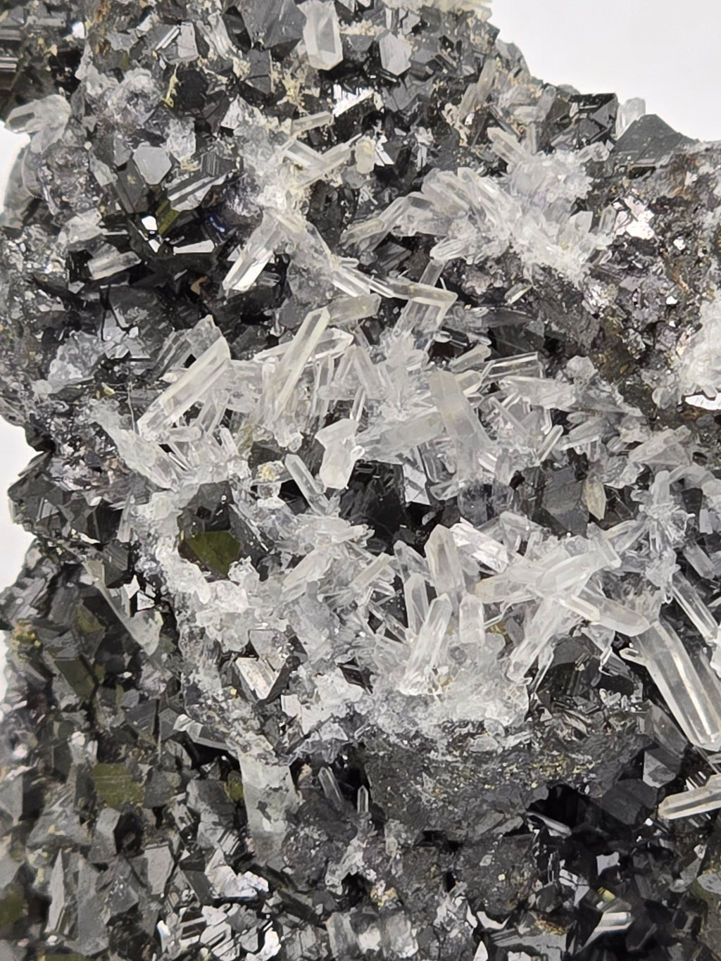 CHALCOPYRITE, SPHALERITE, QUARTZ  (small cabinet)