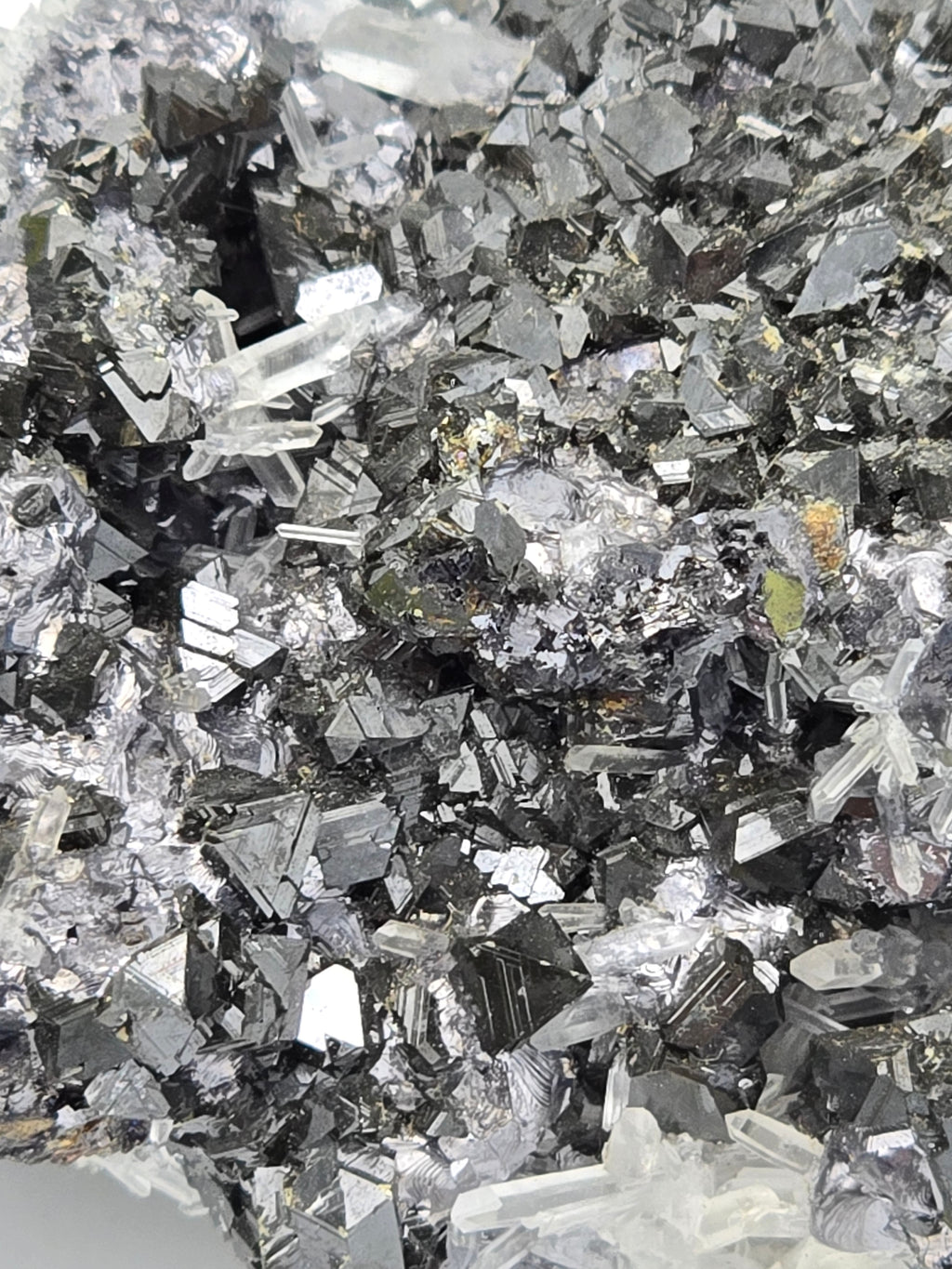 CHALCOPYRITE, SPHALERITE, QUARTZ  (small cabinet)