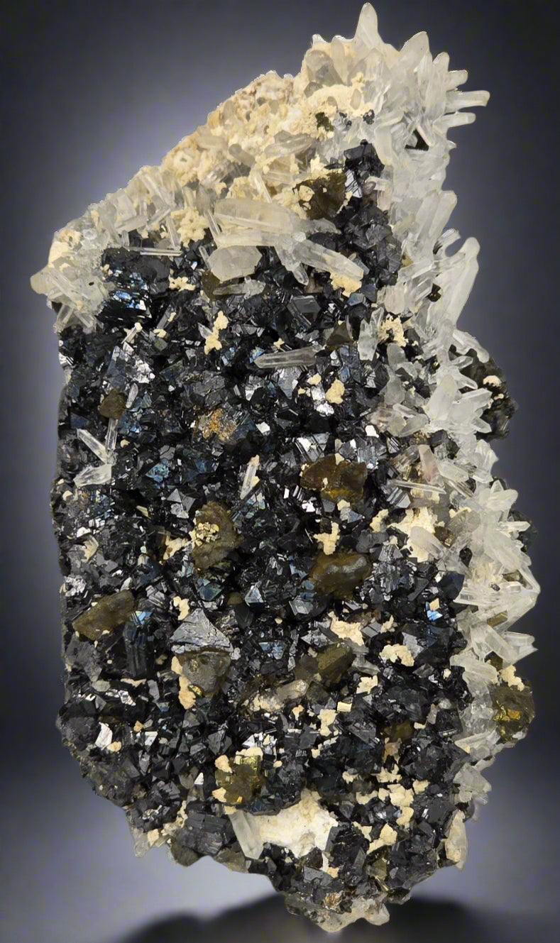 CHALCOPYRITE, PYRITE, MANGANO CALCITE, SPHALERITE with QUARTZ  (small cabinet)