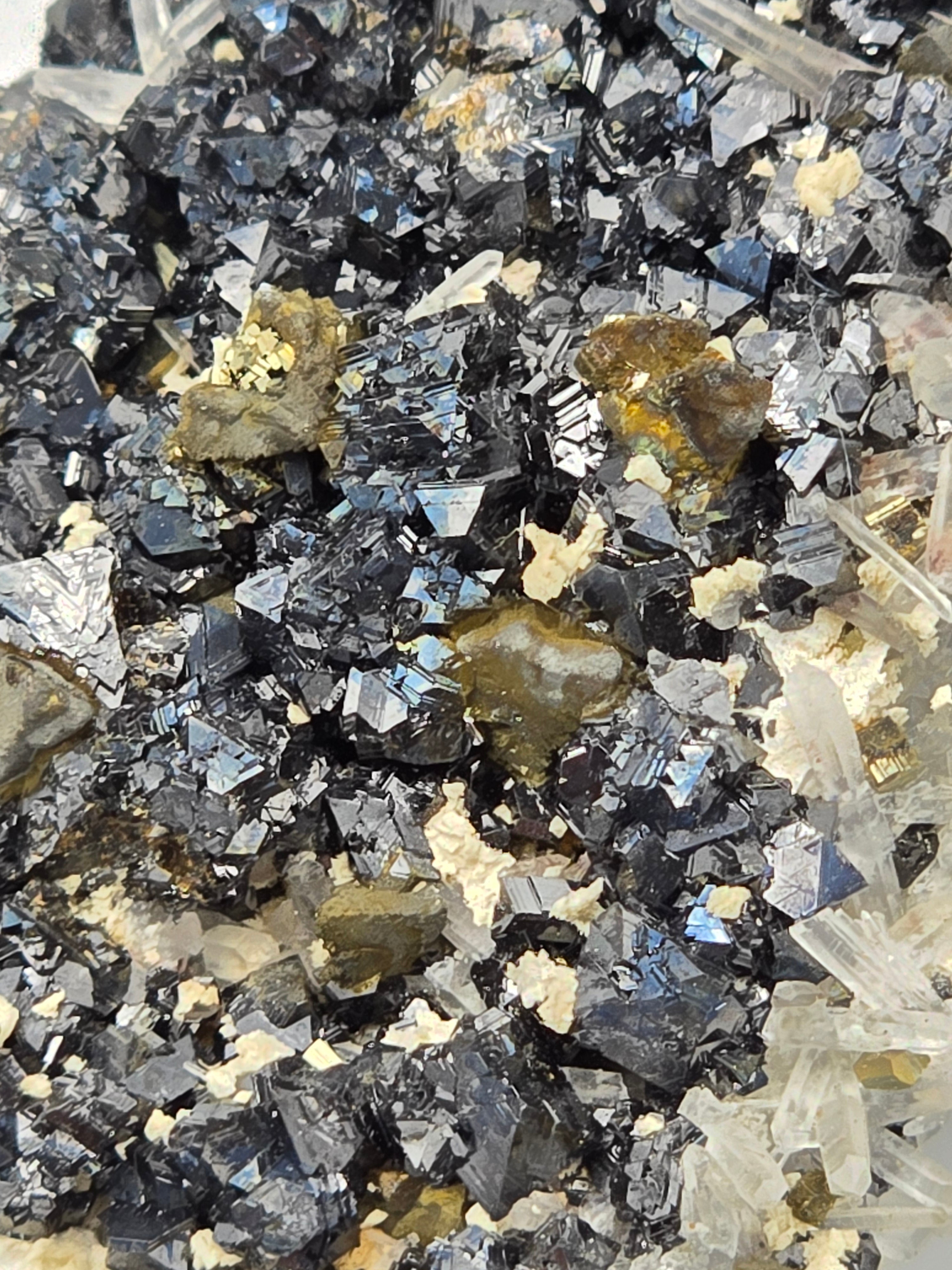 CHALCOPYRITE, PYRITE, MANGANO CALCITE, SPHALERITE with QUARTZ  (small cabinet)