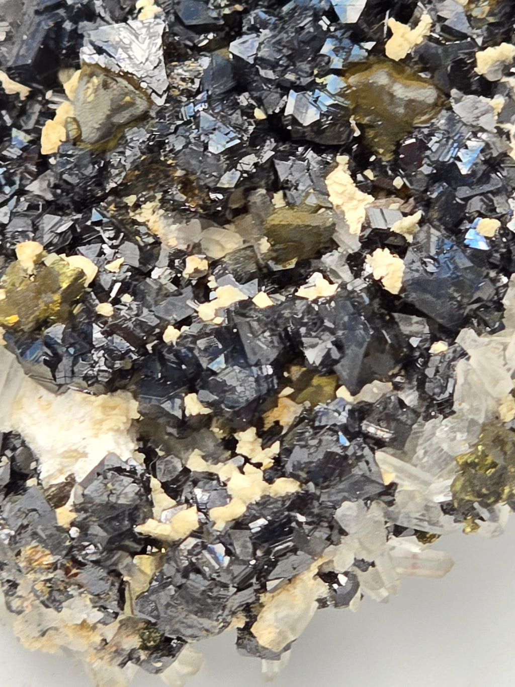 CHALCOPYRITE, PYRITE, MANGANO CALCITE, SPHALERITE with QUARTZ  (small cabinet)