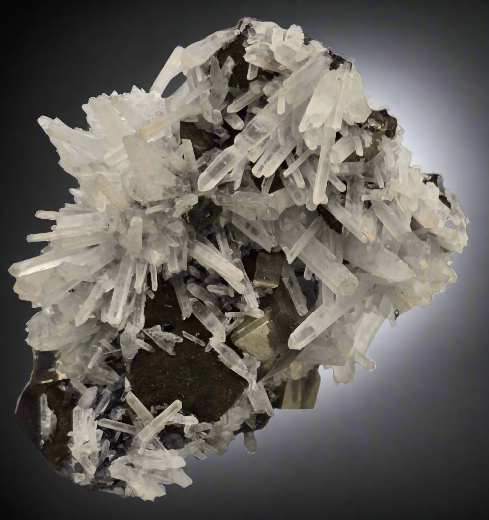 CHALCOPYRITE, PYRITE, MANGANOCALCITE with QUARTZ  (cabinet)