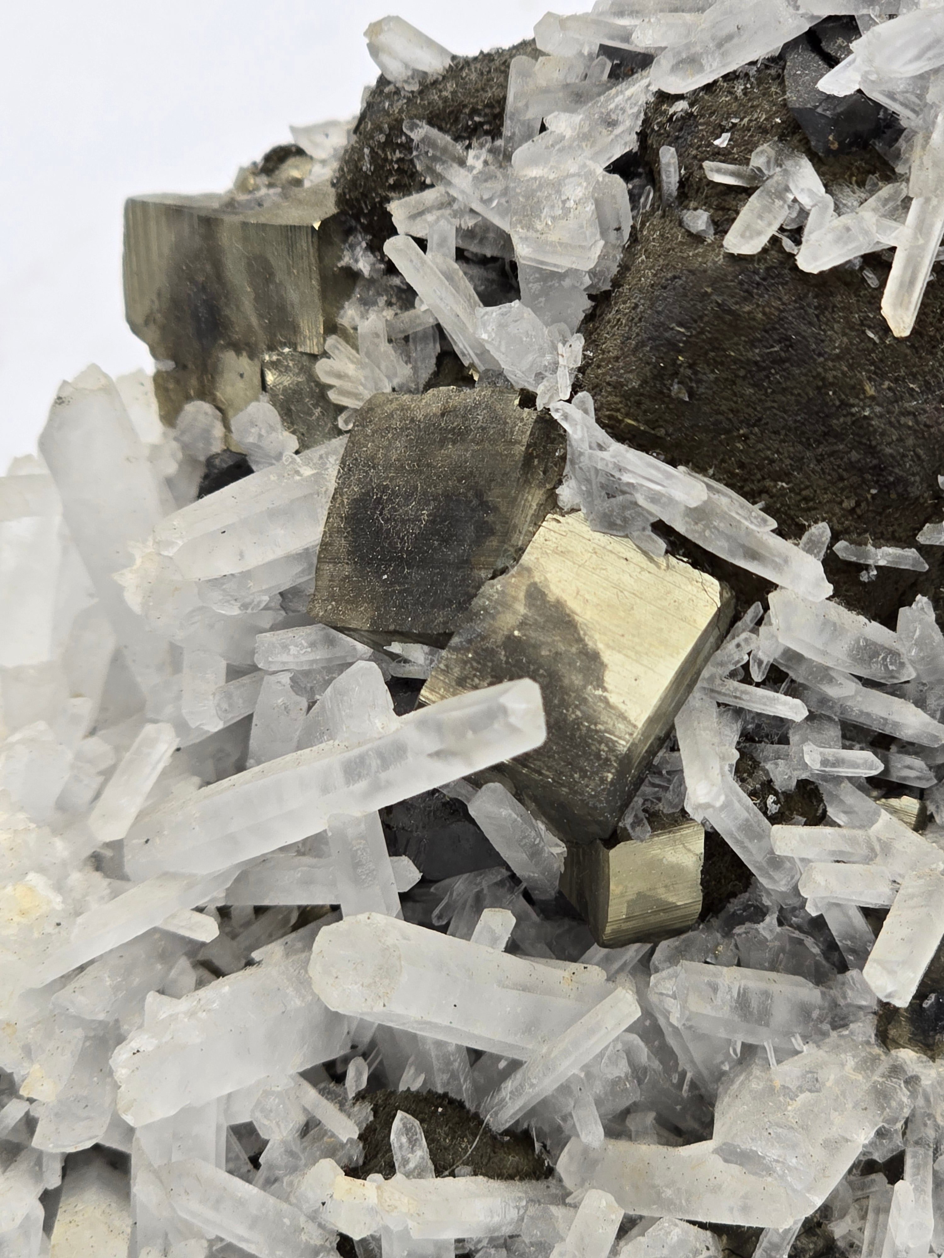 CHALCOPYRITE, PYRITE, MANGANOCALCITE with QUARTZ  (cabinet)