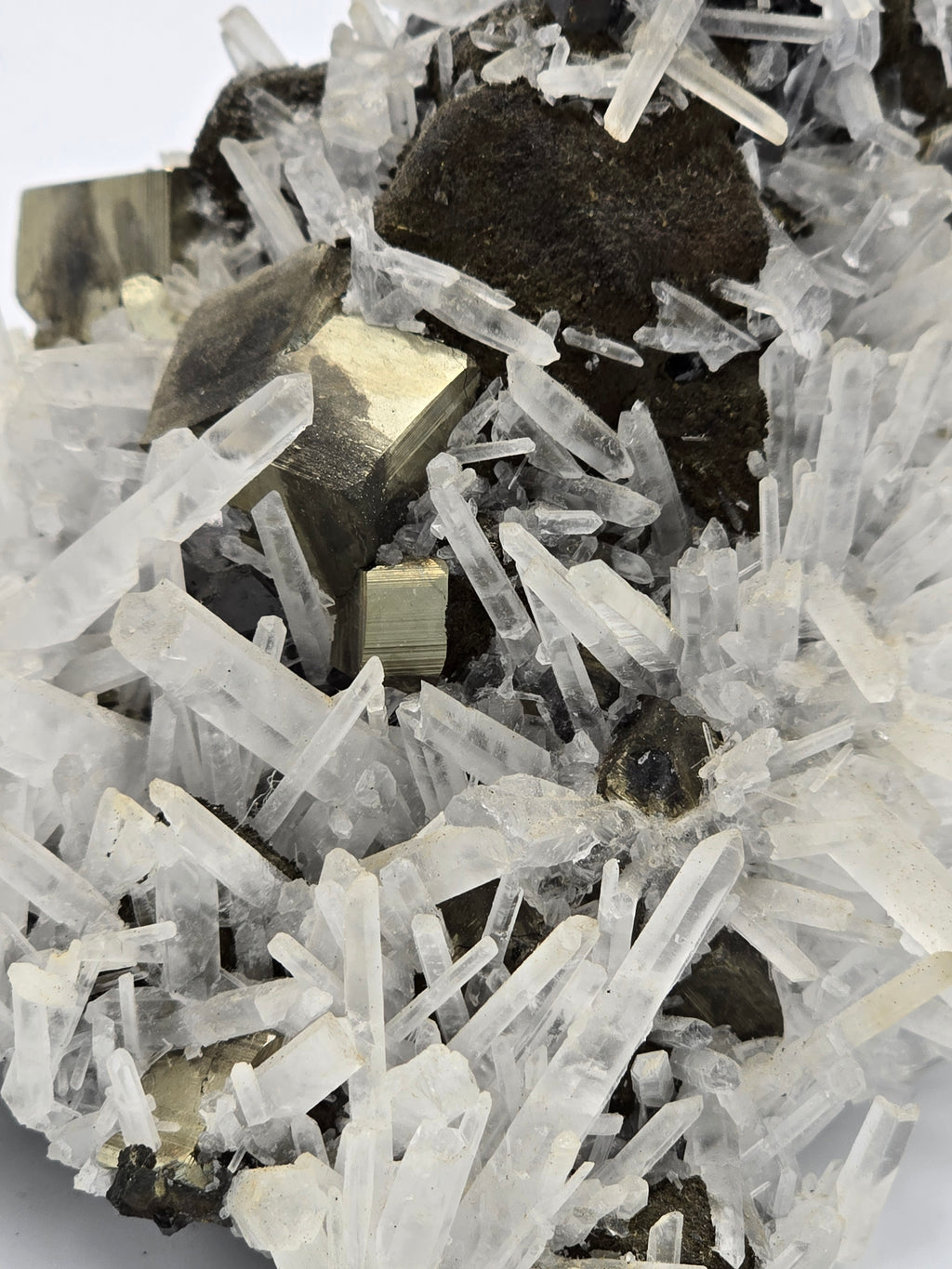 CHALCOPYRITE, PYRITE, MANGANOCALCITE with QUARTZ  (cabinet)