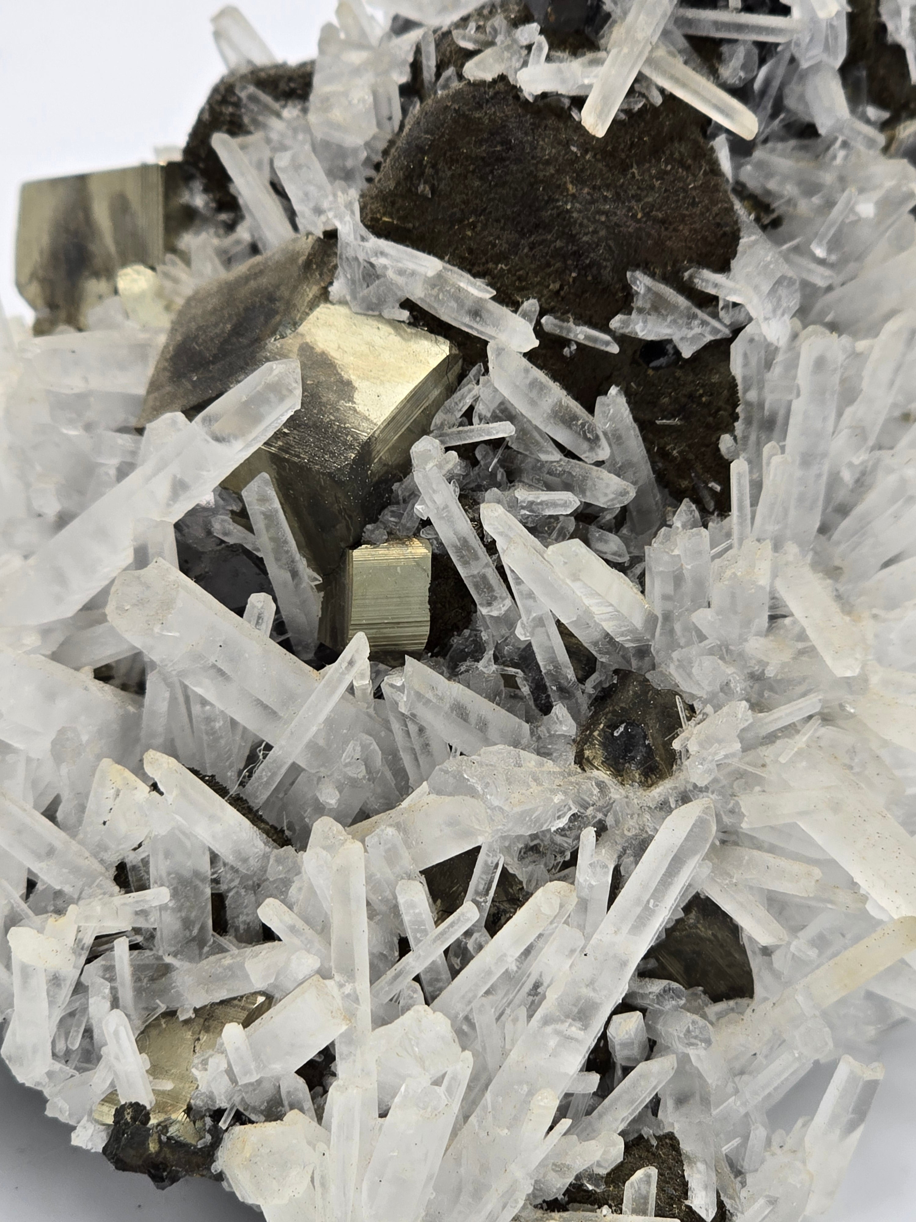 CHALCOPYRITE, PYRITE, MANGANOCALCITE with QUARTZ  (cabinet)