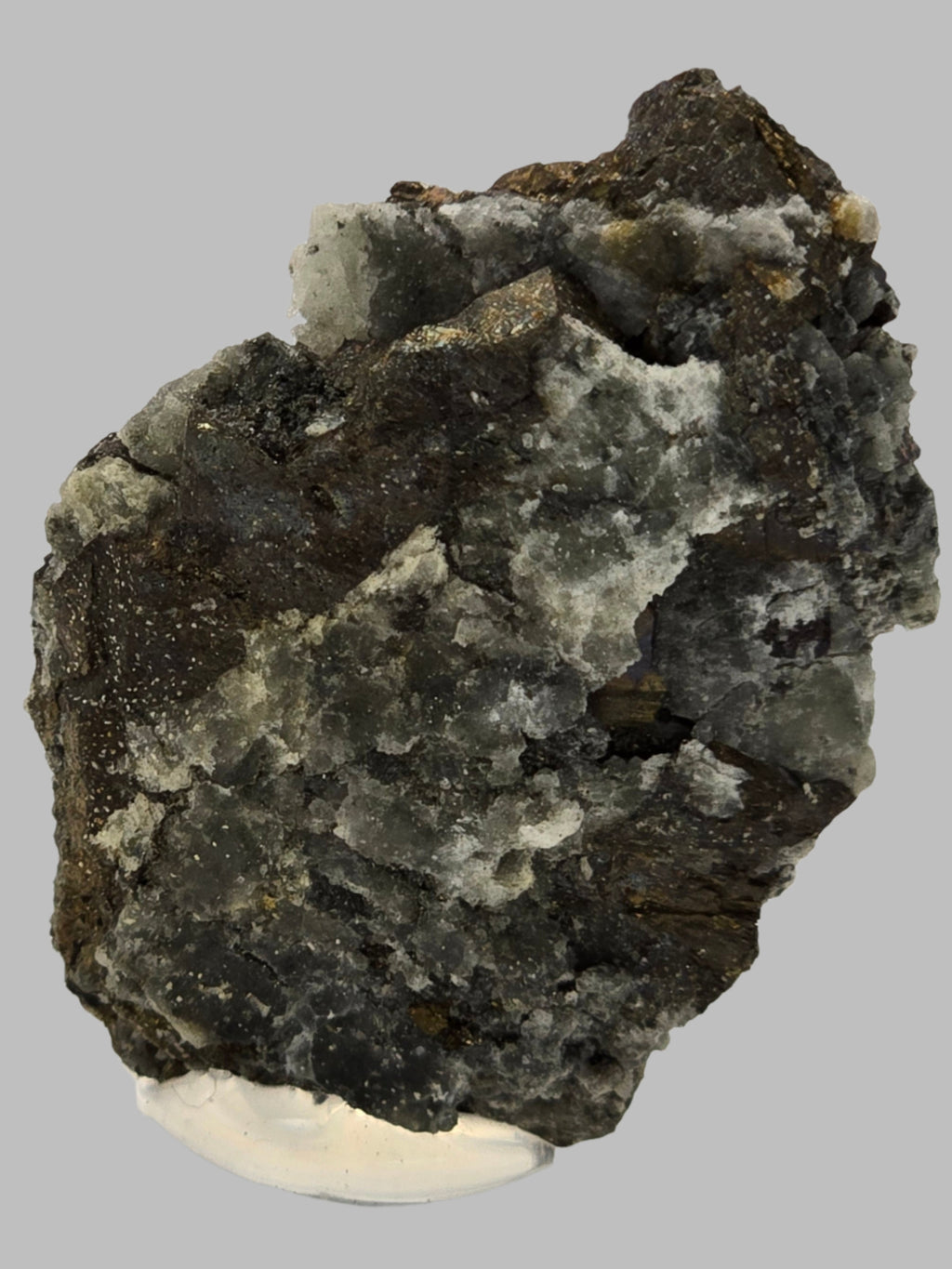 SILVER with PLATINUM (miniature)