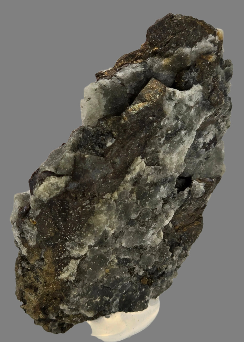 SILVER with PLATINUM (miniature)