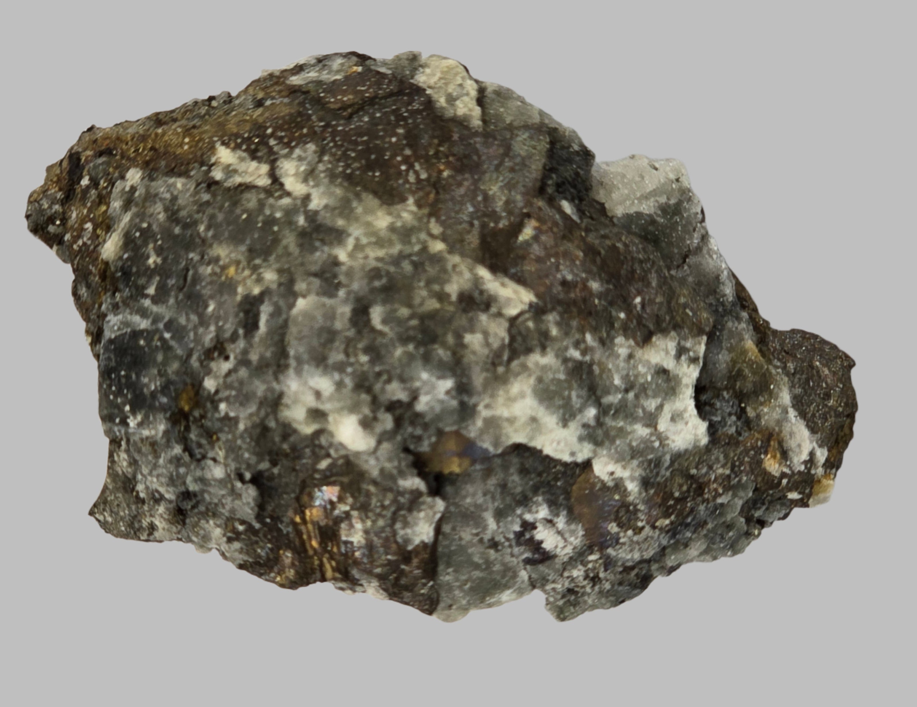 SILVER with PLATINUM (miniature)