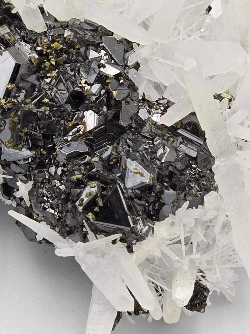 CHALCOPYRITE, SPHALERITE, QUARTZ  SMALL CABINET