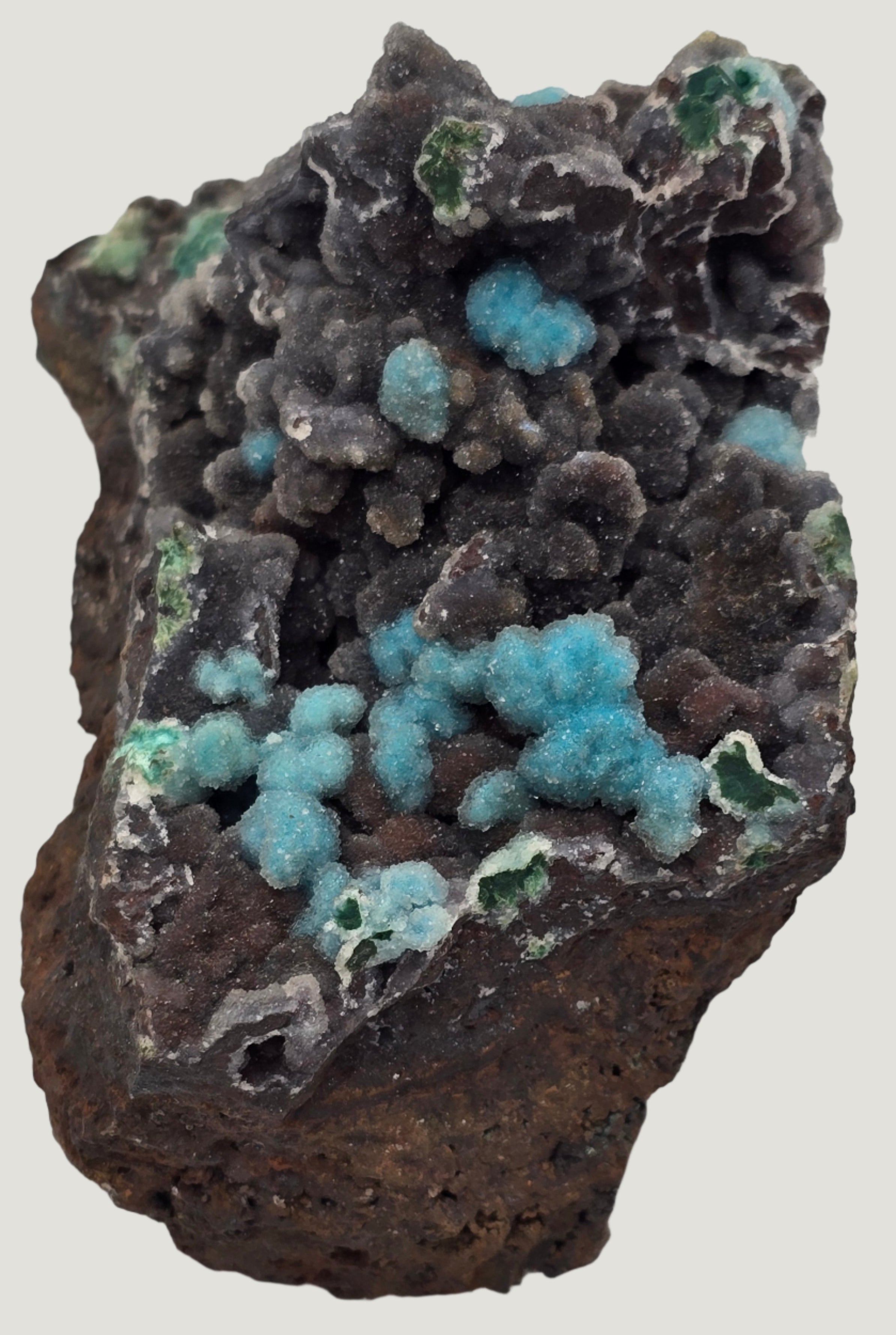 CHRYSOCOLLA (large cabinet)