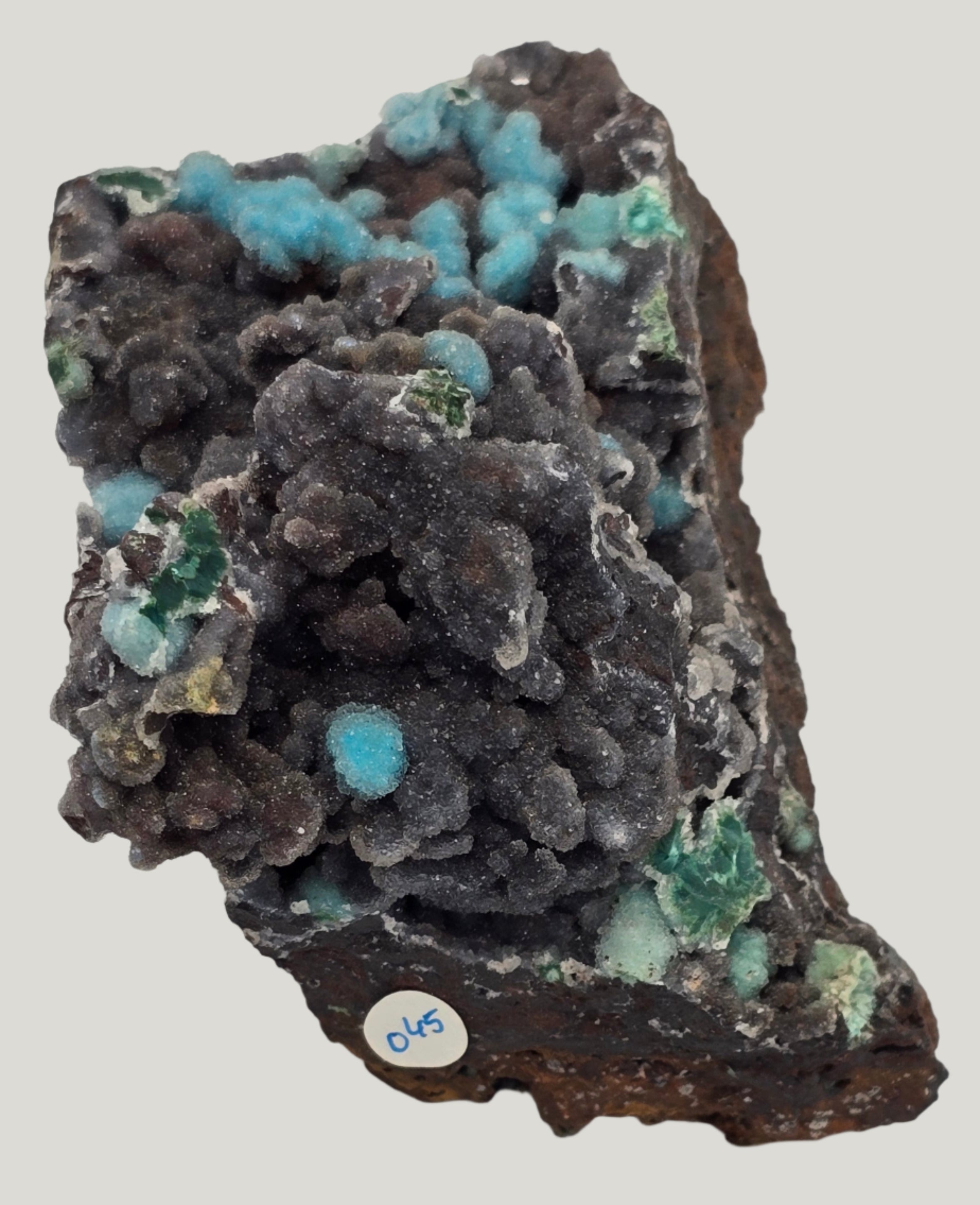 CHRYSOCOLLA (large cabinet)