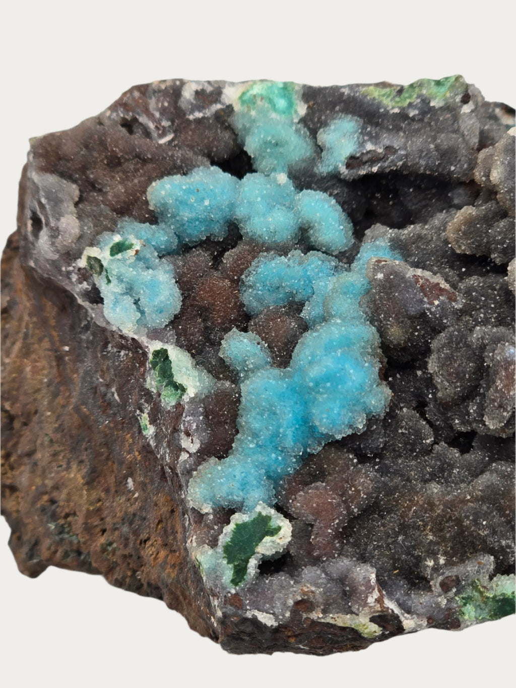 CHRYSOCOLLA (large cabinet)