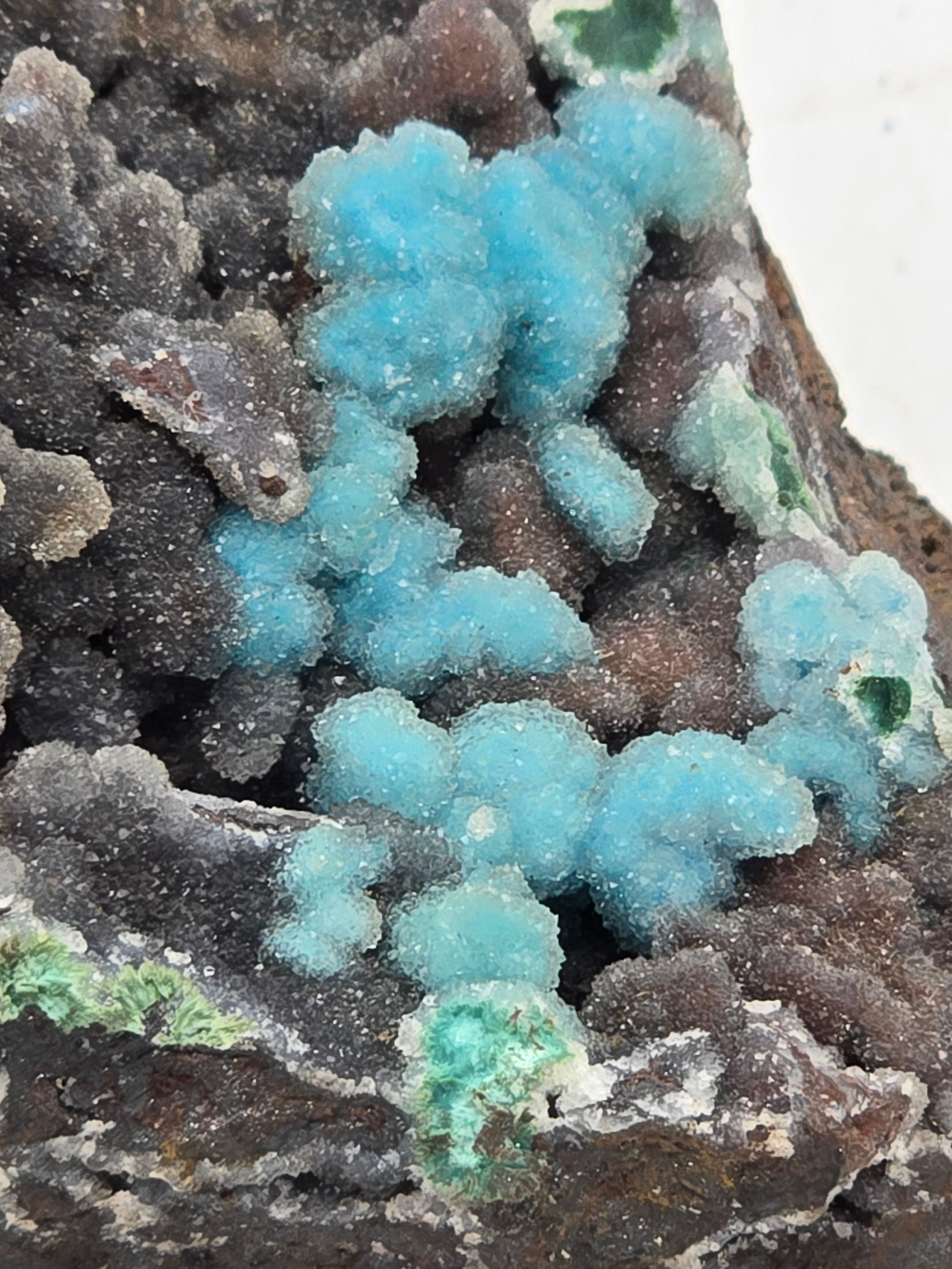 CHRYSOCOLLA (large cabinet)