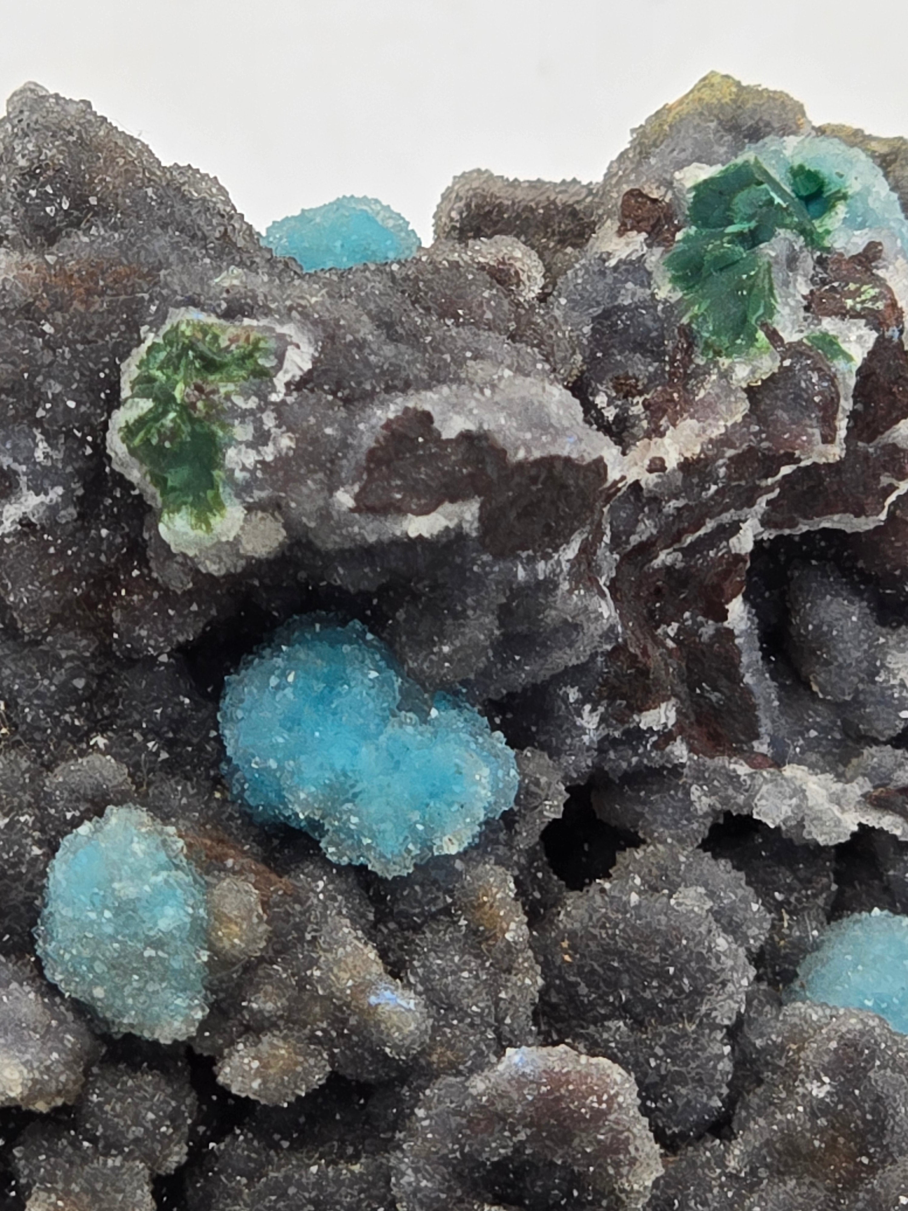 CHRYSOCOLLA (large cabinet)