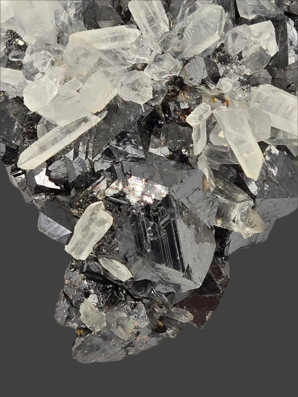 SPHALERITE, QUARTZ, CHALCOPYRITE (cabinet)