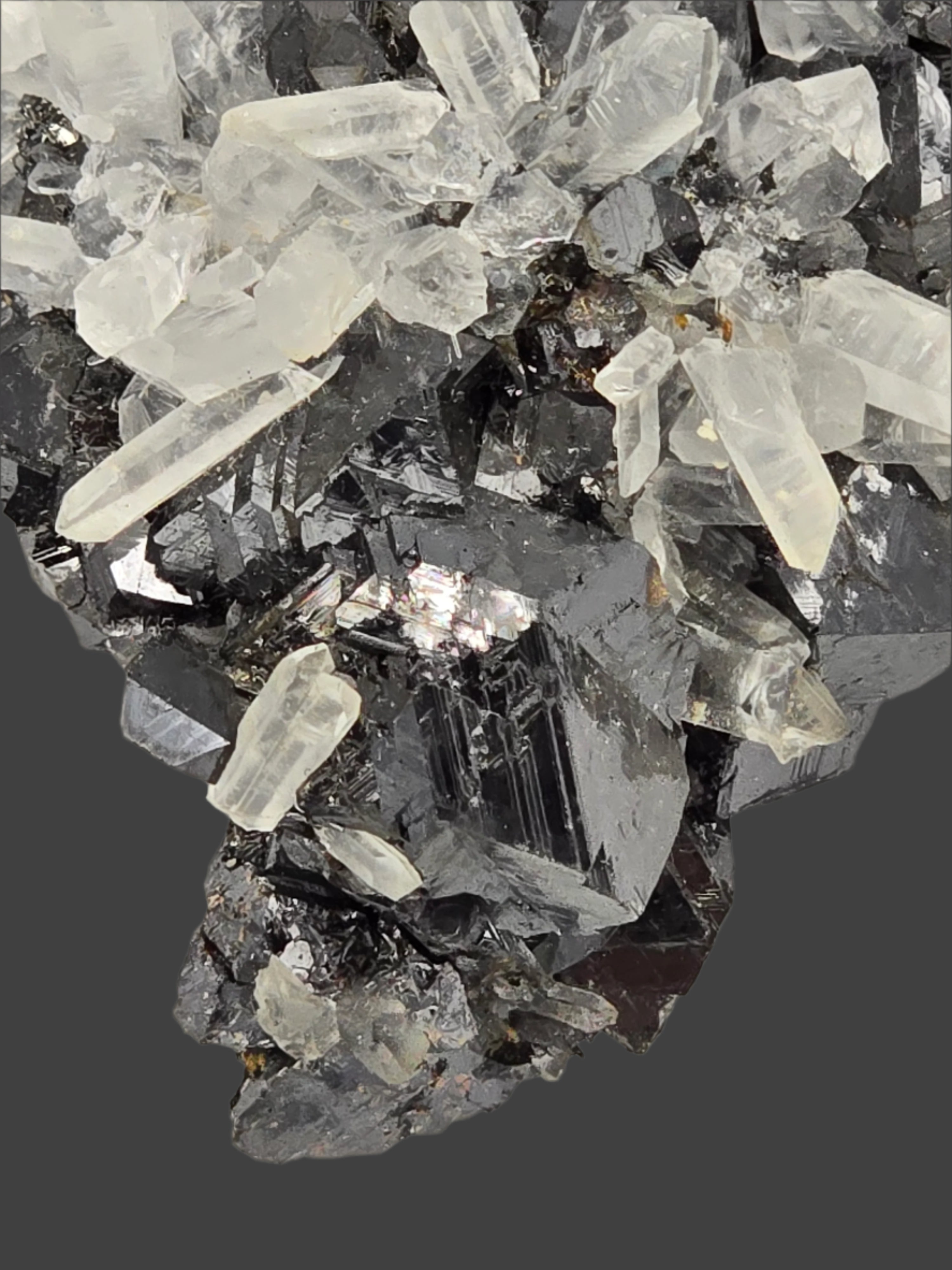SPHALERITE, QUARTZ, CHALCOPYRITE (cabinet)