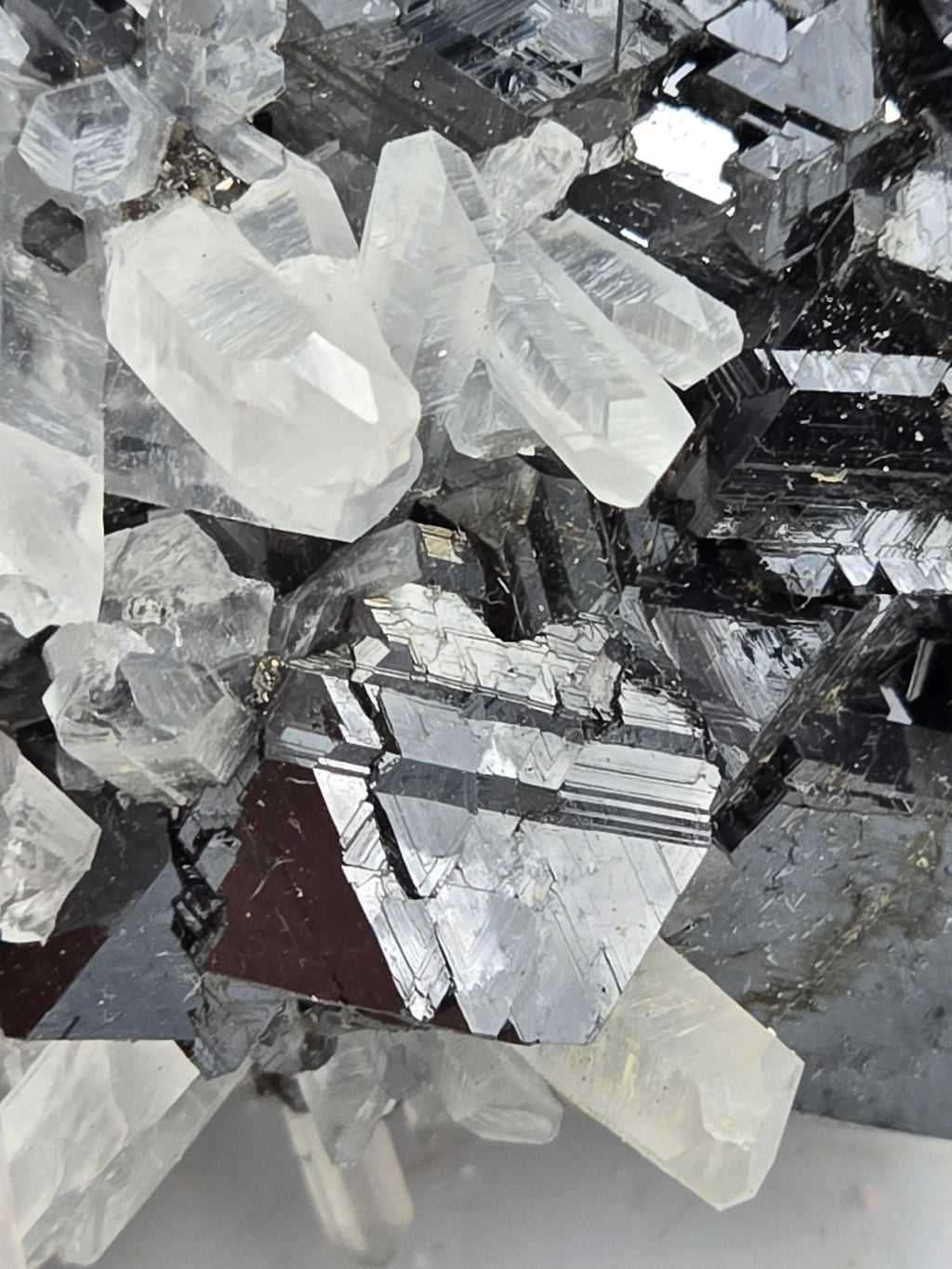 SPHALERITE, QUARTZ, CHALCOPYRITE (cabinet)