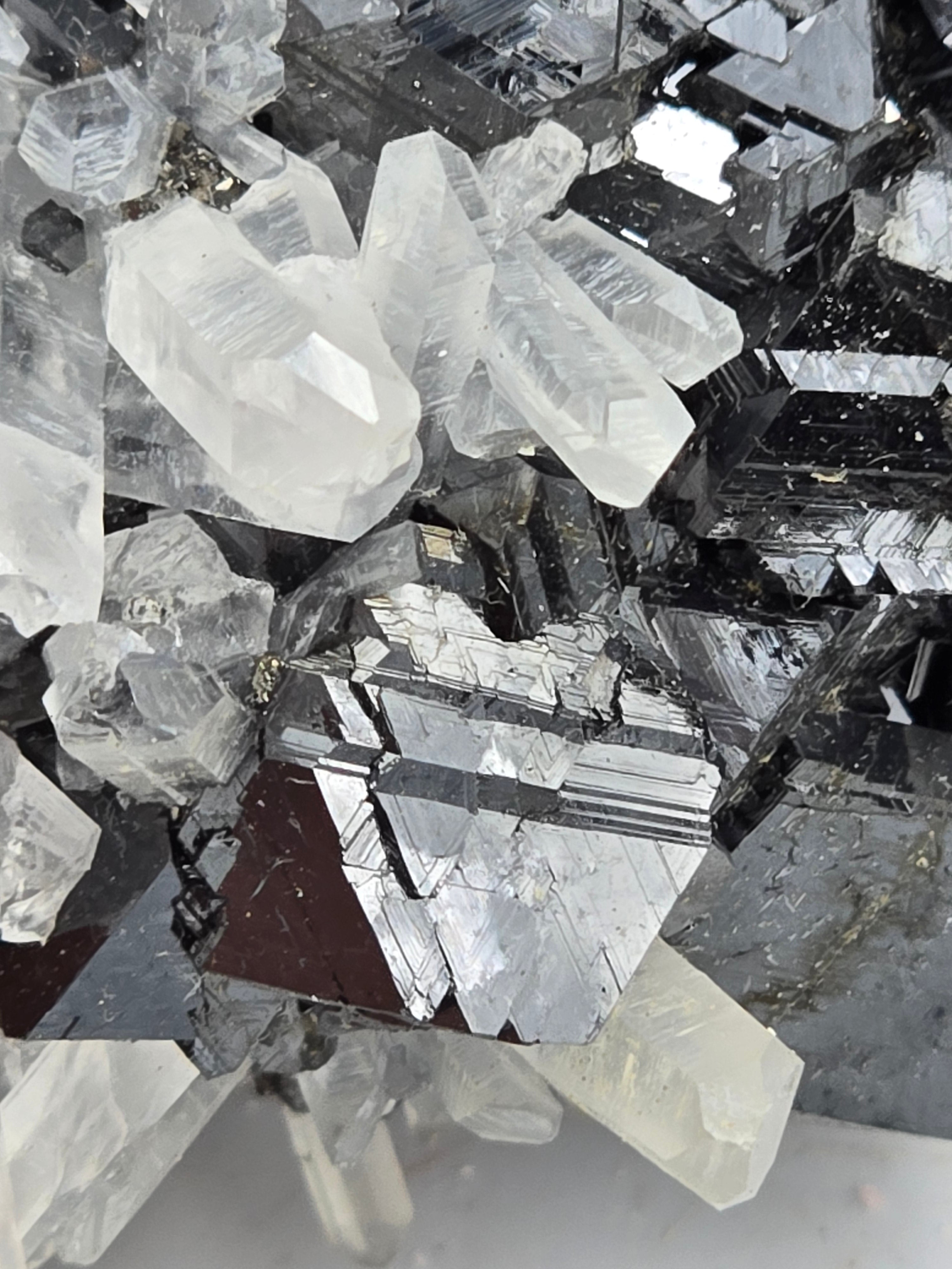 SPHALERITE, QUARTZ, CHALCOPYRITE (cabinet)