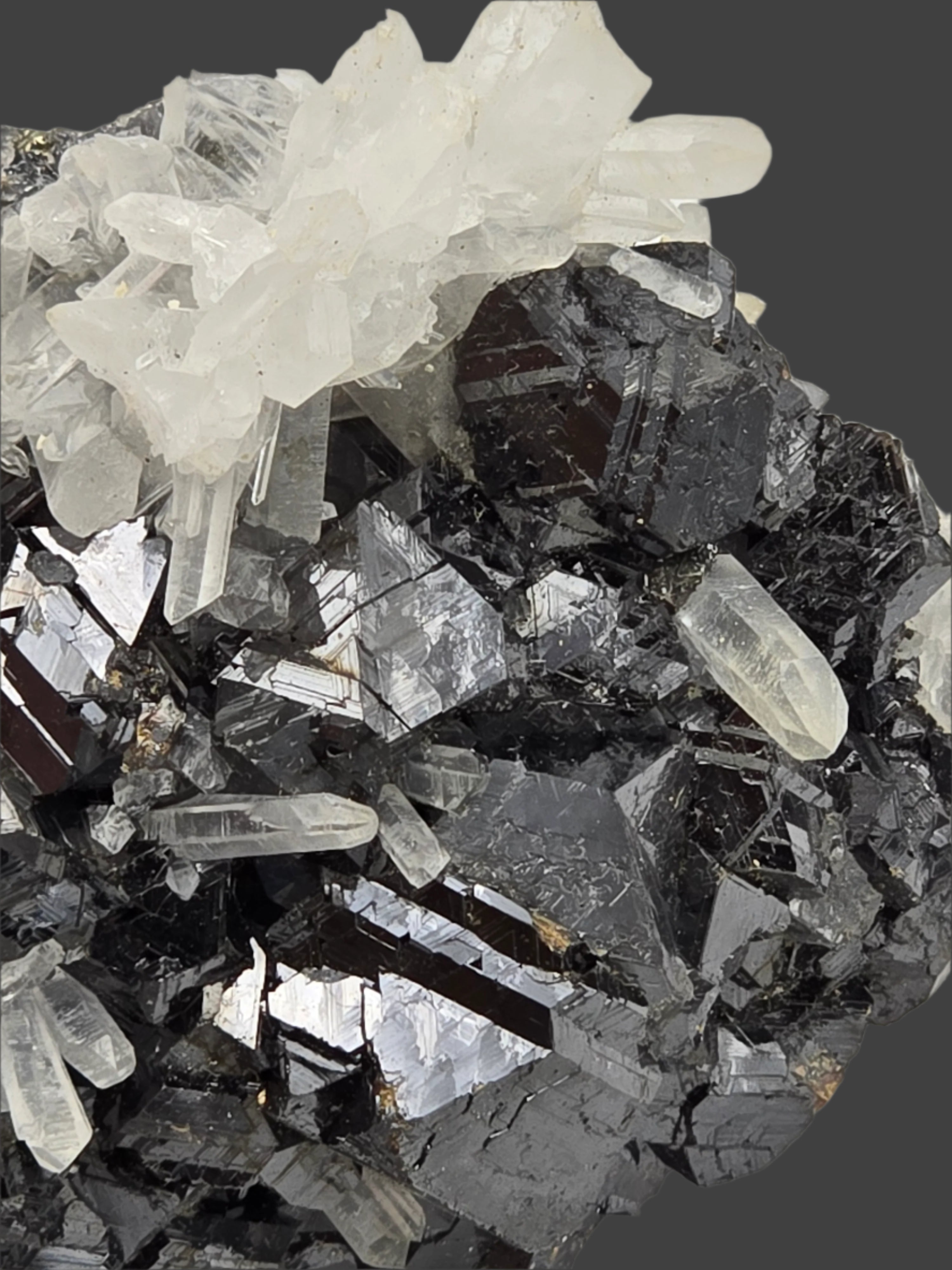 SPHALERITE, QUARTZ, CHALCOPYRITE (cabinet)