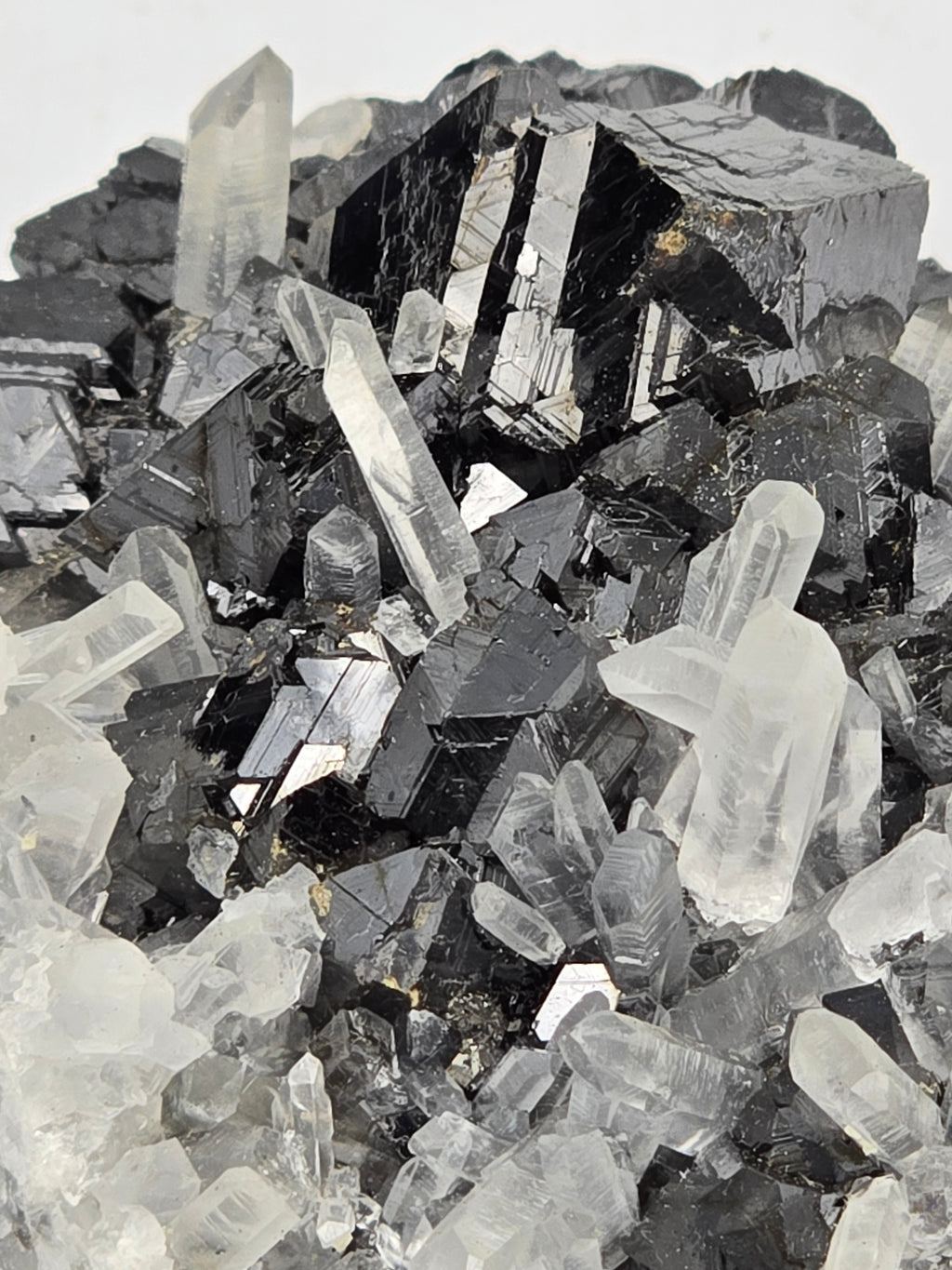 SPHALERITE, QUARTZ, CHALCOPYRITE (cabinet)