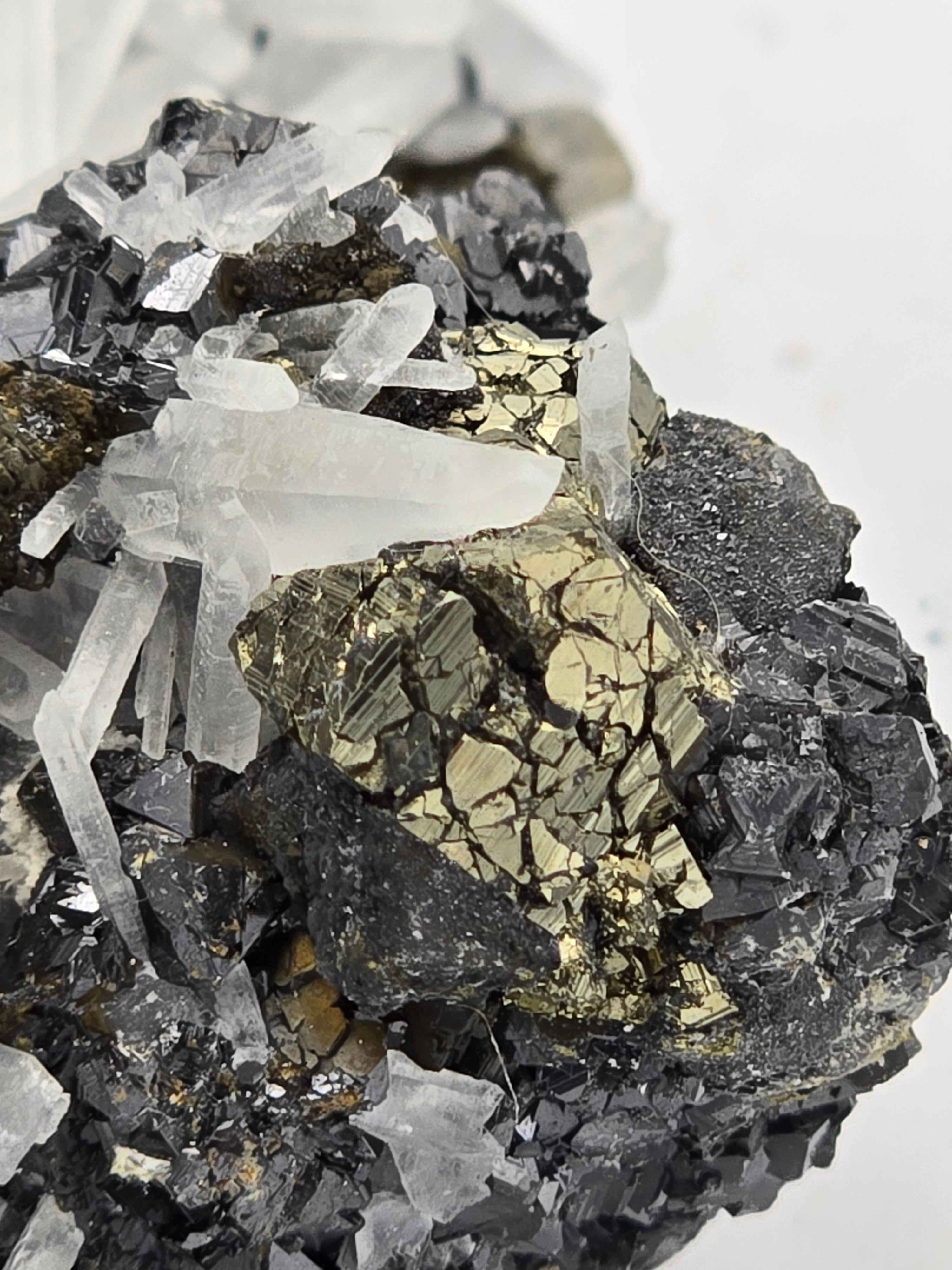 CHALCOPYRITE, PYRITE, SPHALERITE with QUARTZ (cabinet)
