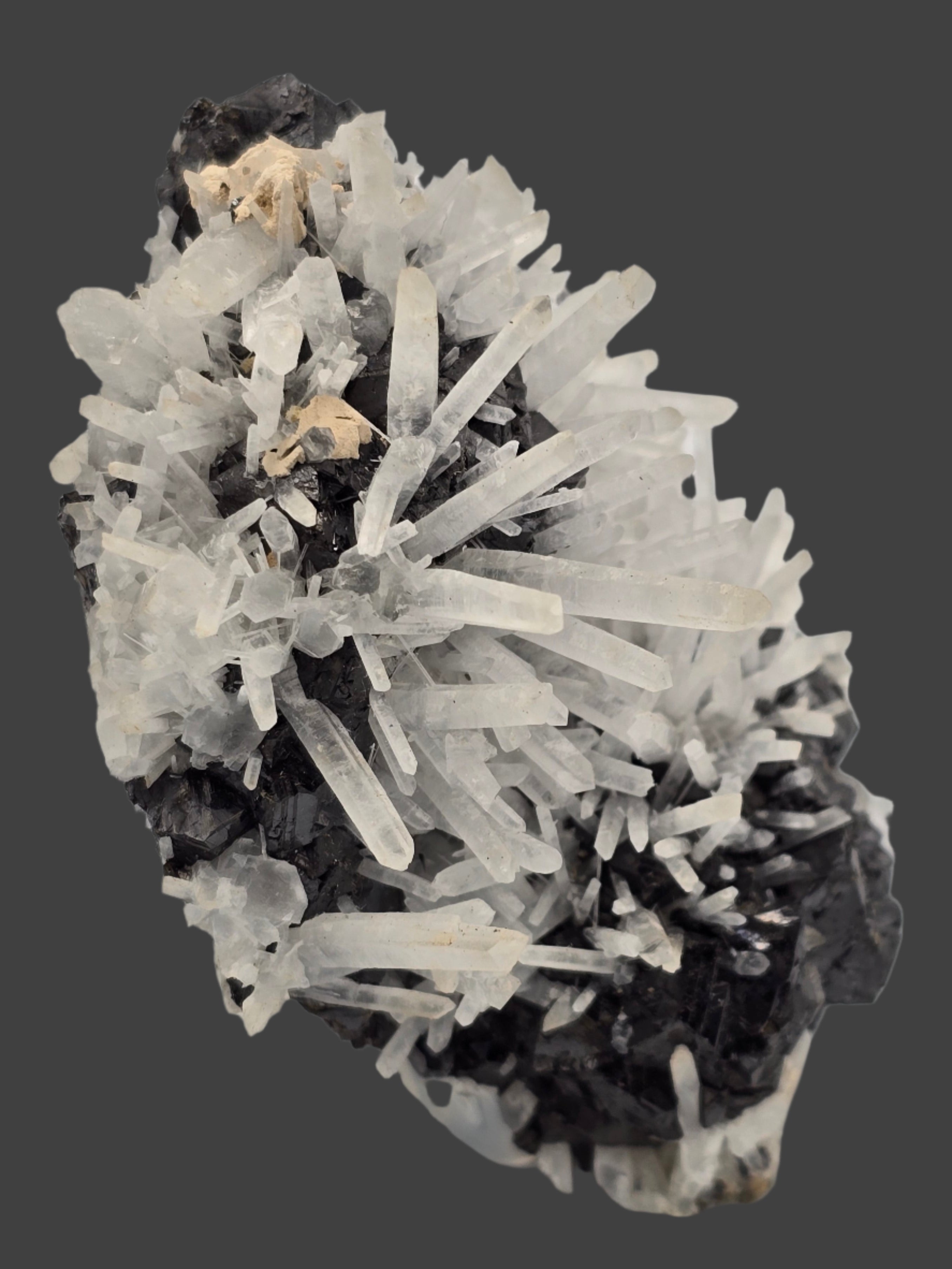 SPHALERITE, MANGANO CALCITE with QUARTZ and PYRITE (cabinet)
