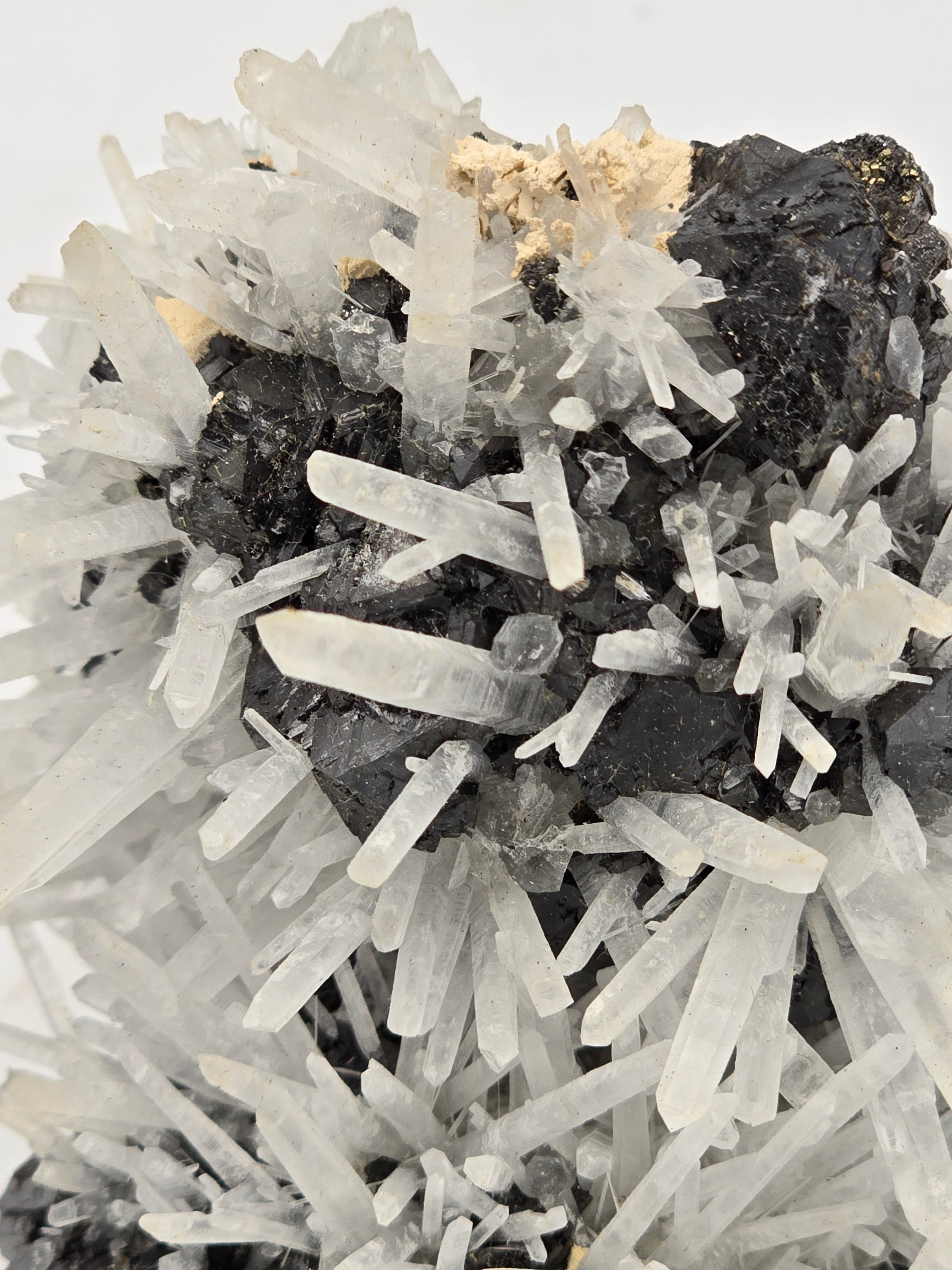 SPHALERITE, MANGANO CALCITE with QUARTZ and PYRITE (cabinet)