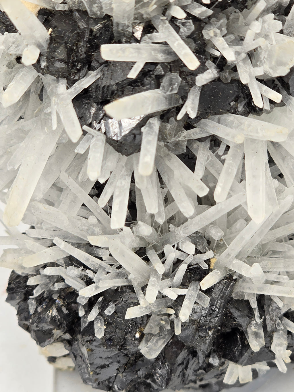 SPHALERITE, MANGANO CALCITE with QUARTZ and PYRITE (cabinet)