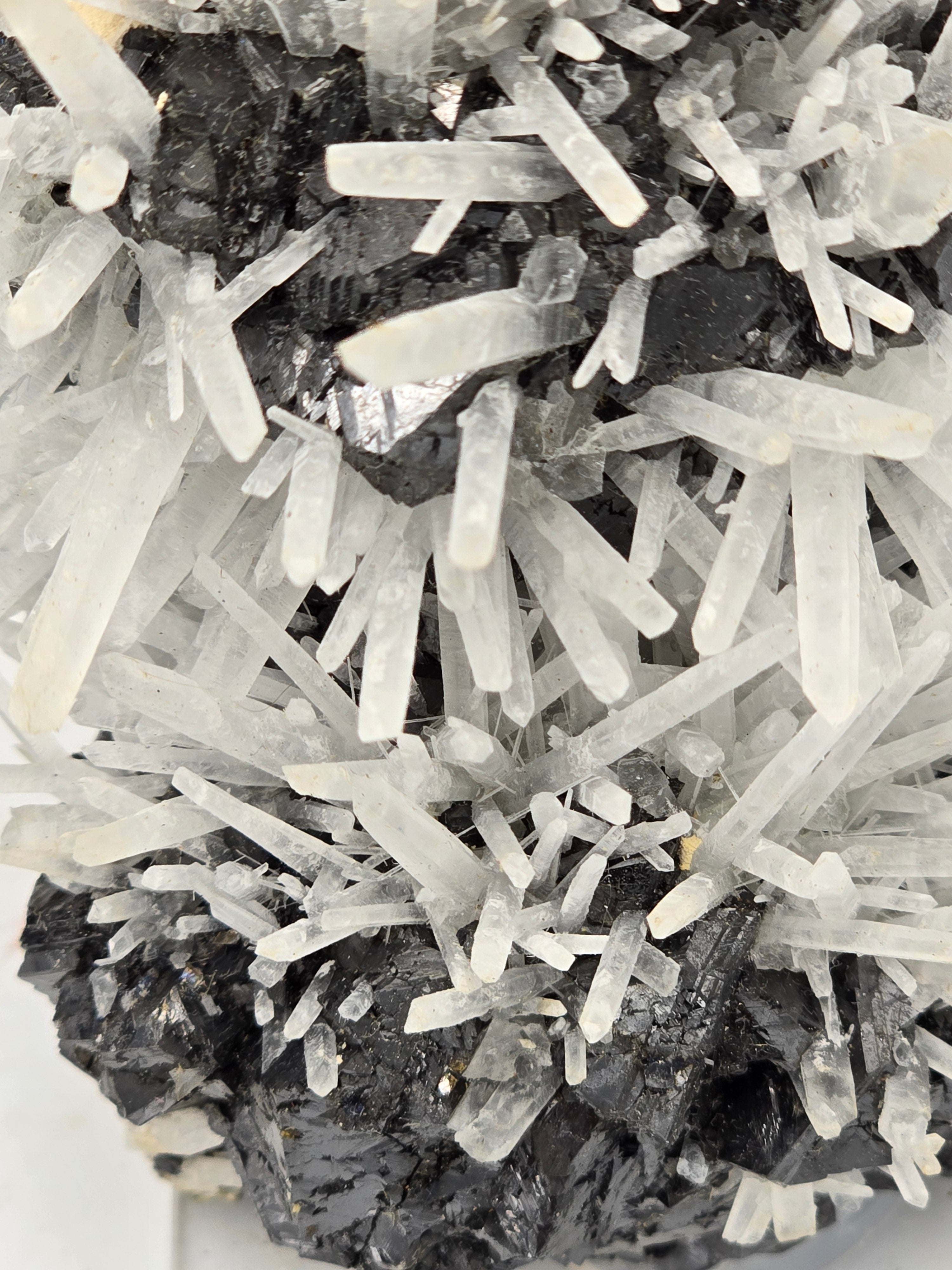 SPHALERITE, MANGANO CALCITE with QUARTZ and PYRITE (cabinet)